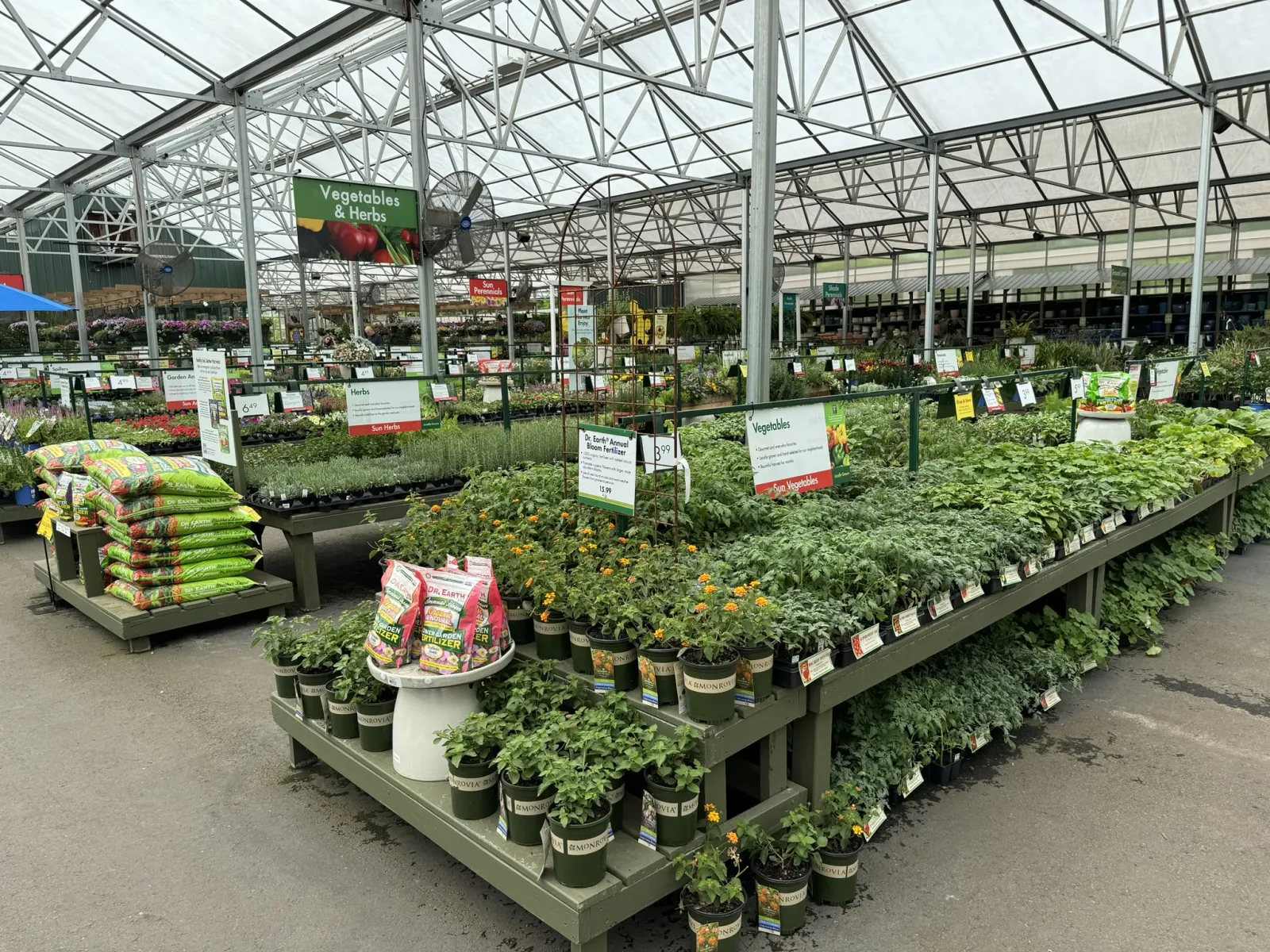 Greenhouse section with tables full of potted vegetable and herb plants, gardening supplies, and signage.