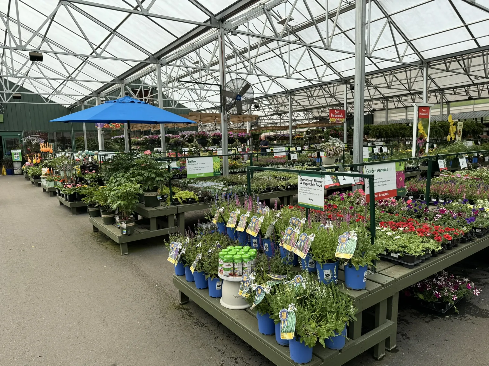 Indoor garden center with various potted plants and flowers under a glass roof and blue umbrellas.
