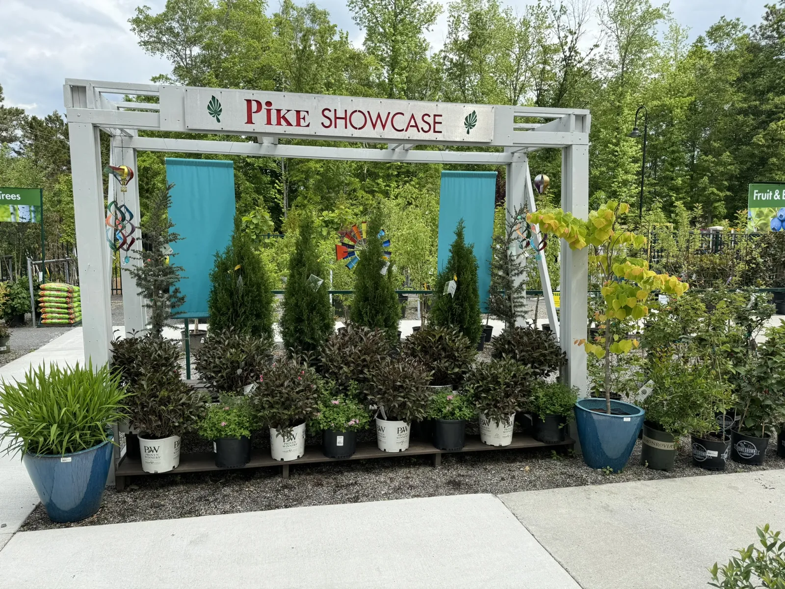 Pike Showcase display of various potted evergreen and leafy plants outdoors under a white wooden frame.