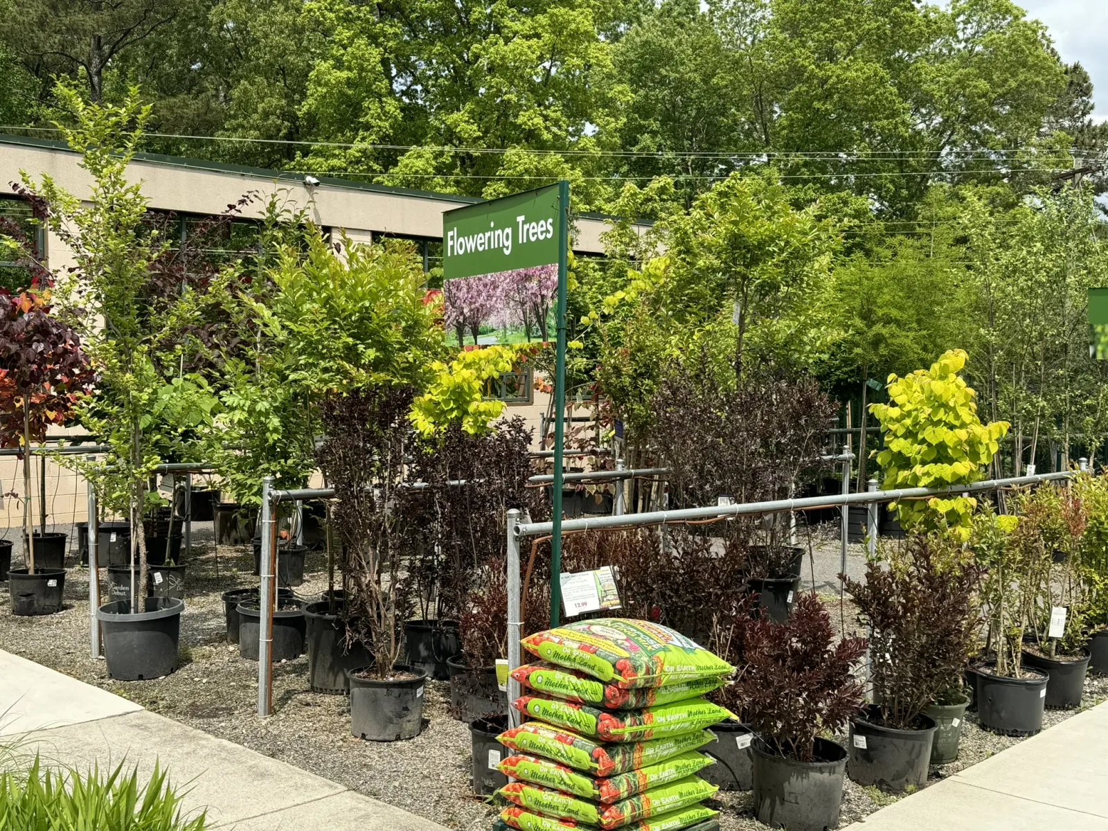 Outdoor garden center displaying various potted flowering trees and bags of soil under a clear sky.