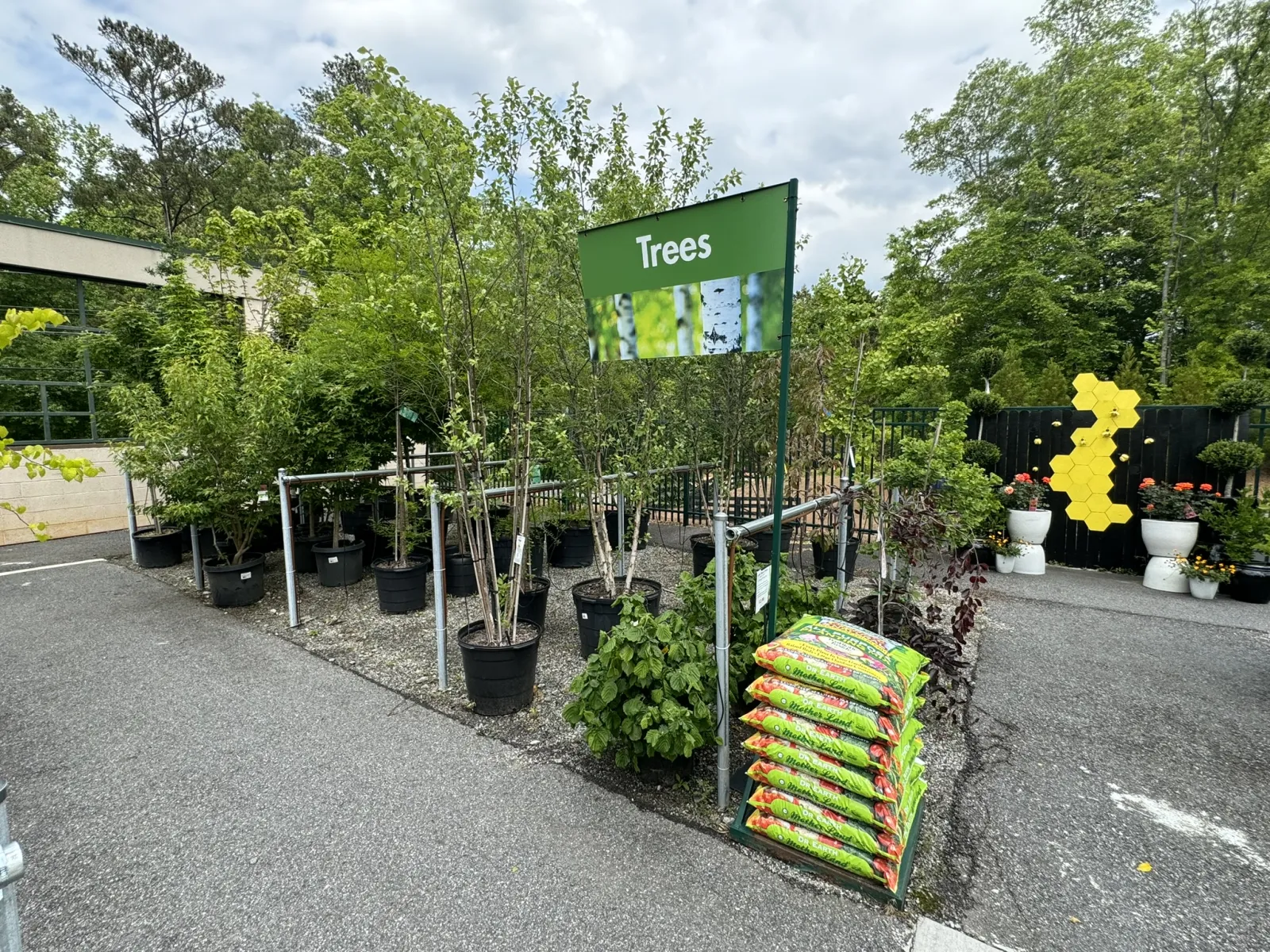 Outdoor nursery area displaying various potted trees with a green sign labeled Trees and bags of soil nearby