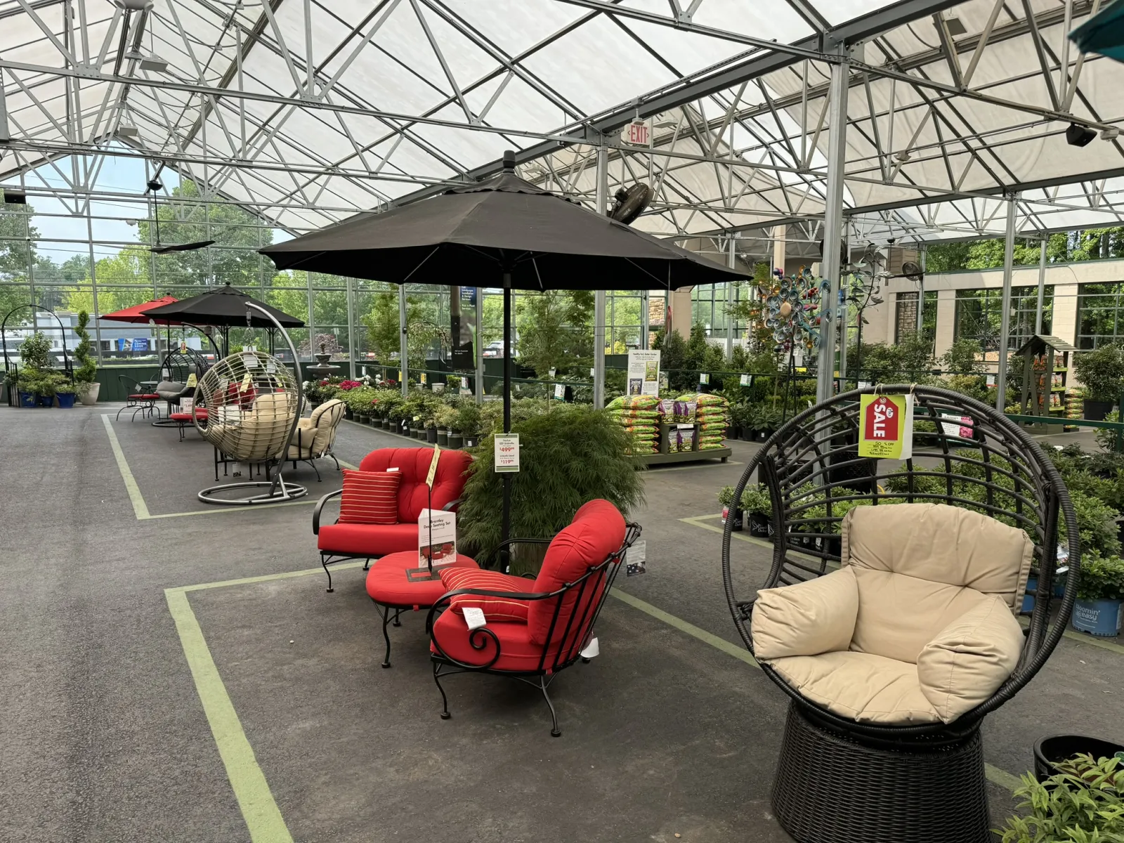Indoor patio furniture display with red cushioned chairs, black umbrella, and hanging wicker chairs in a greenhouse.