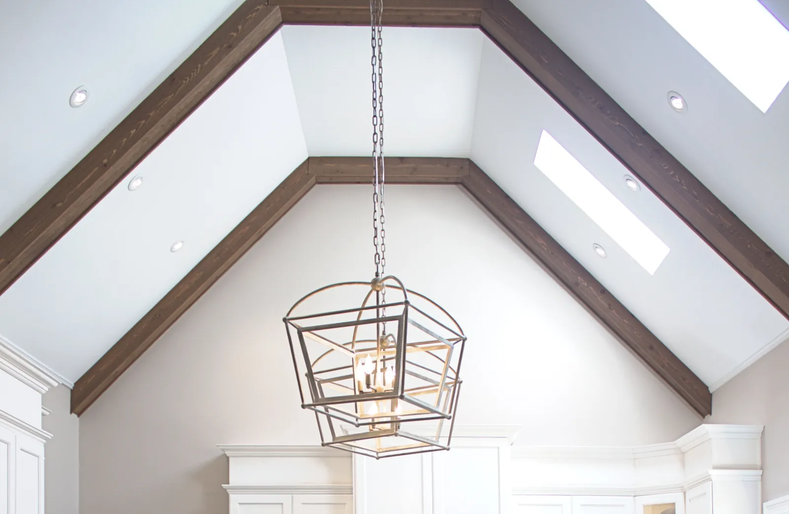 a bird cage from a ceiling