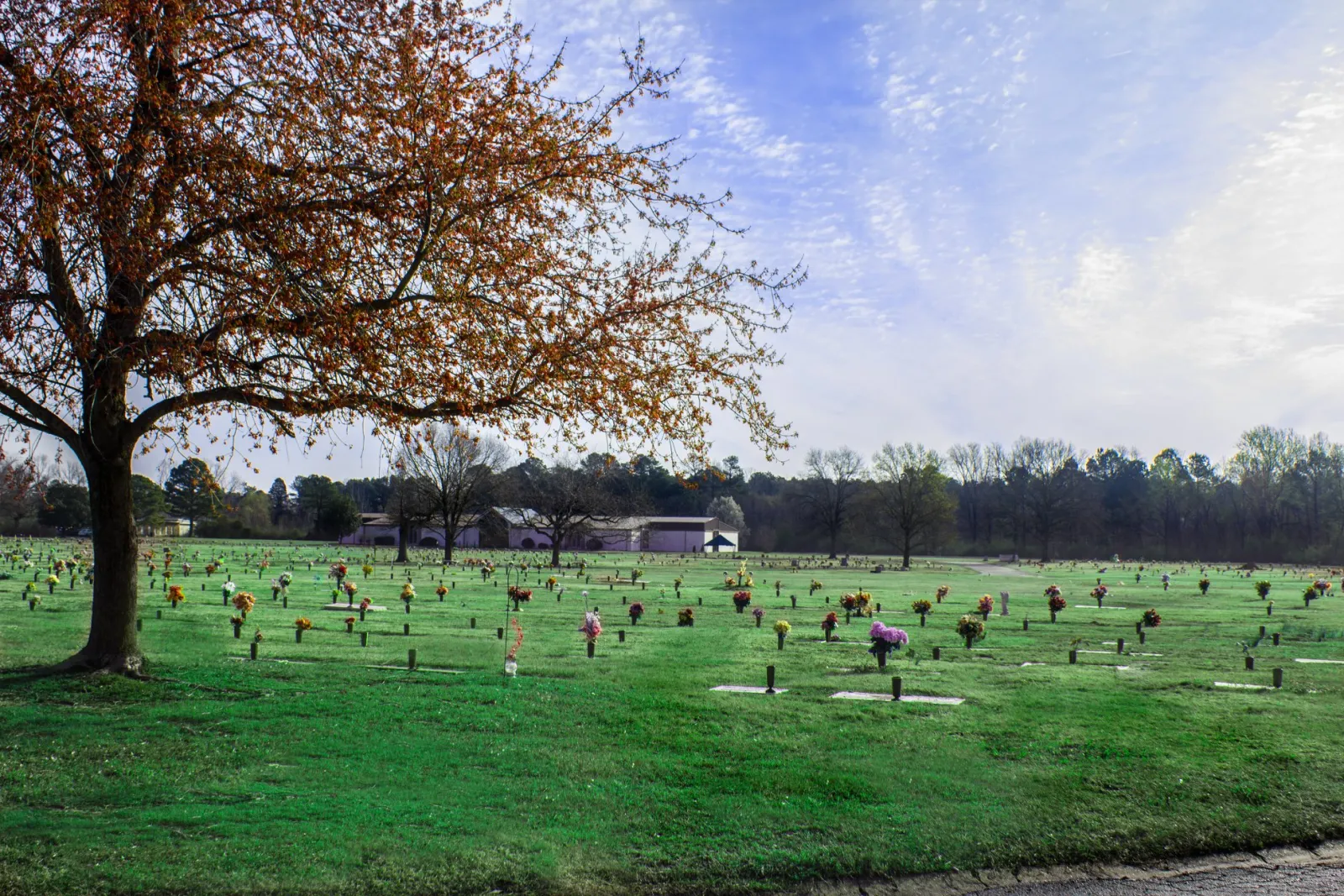 a group of people standing on a lush green field