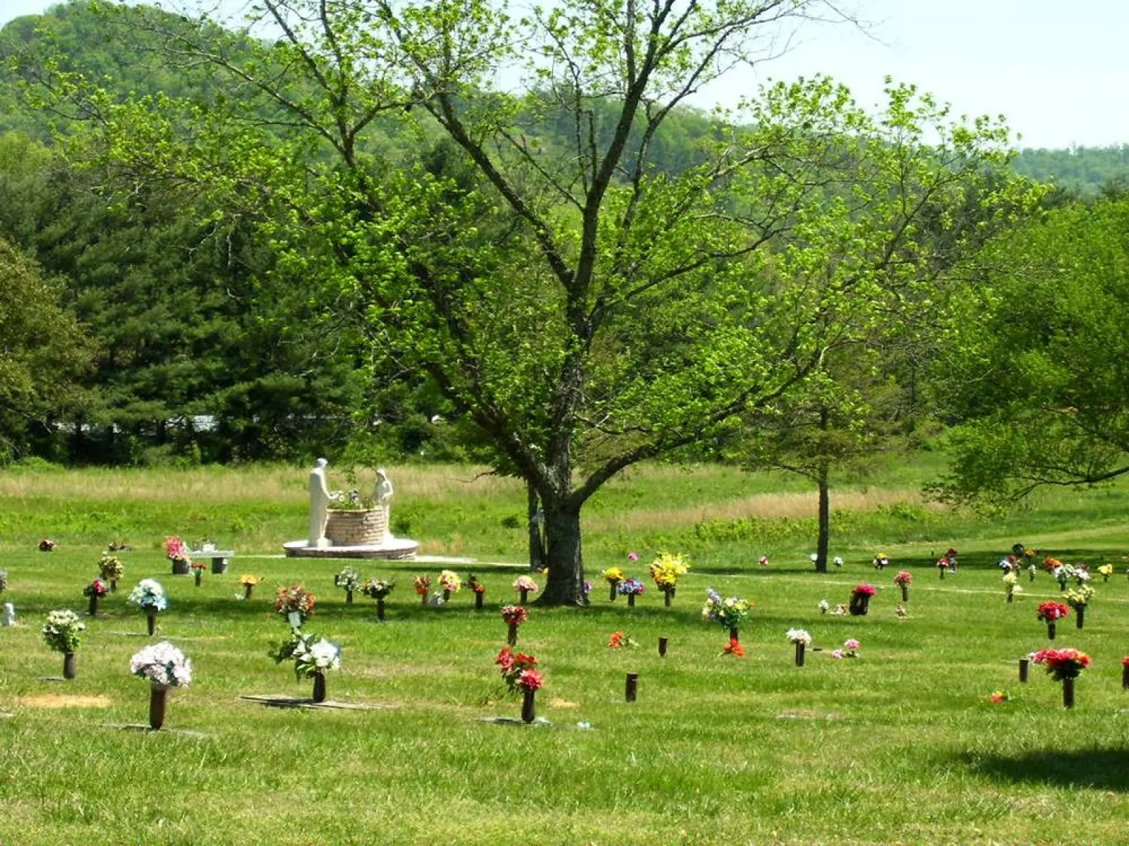 a group of people standing on a lush green field