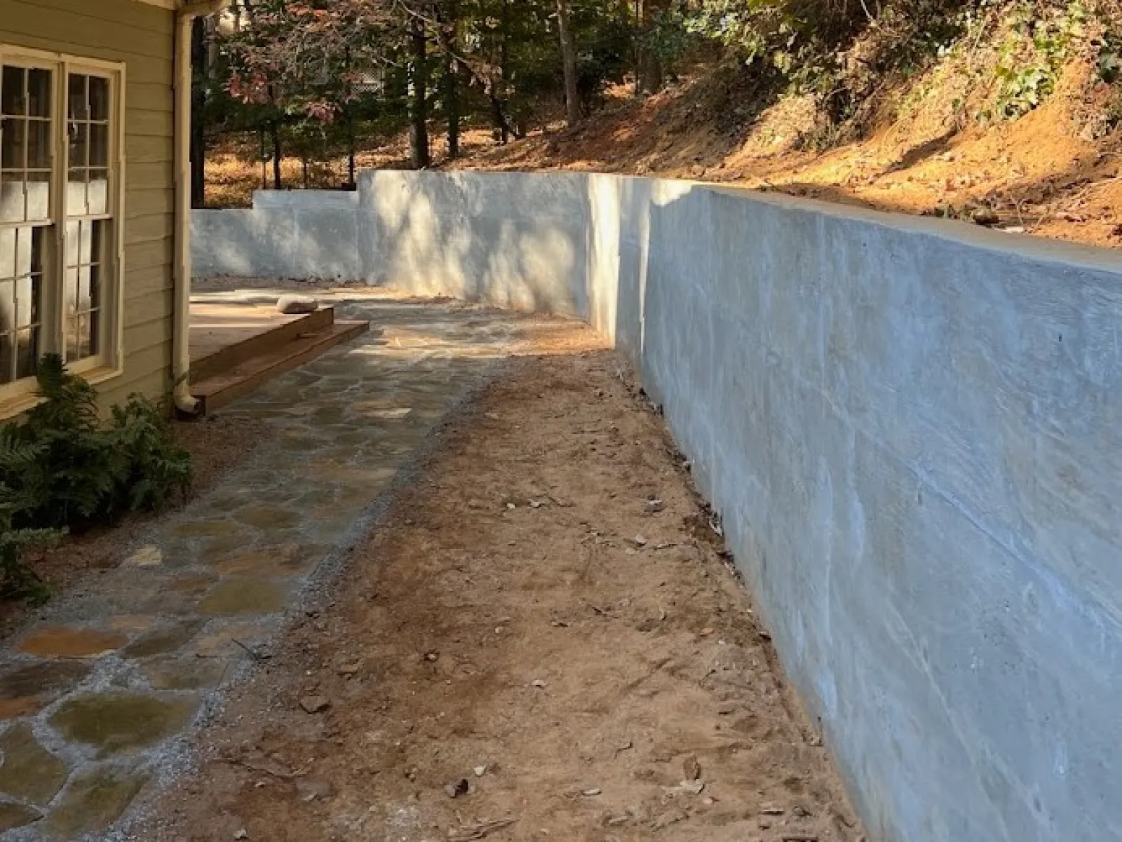 a path with trees on the side