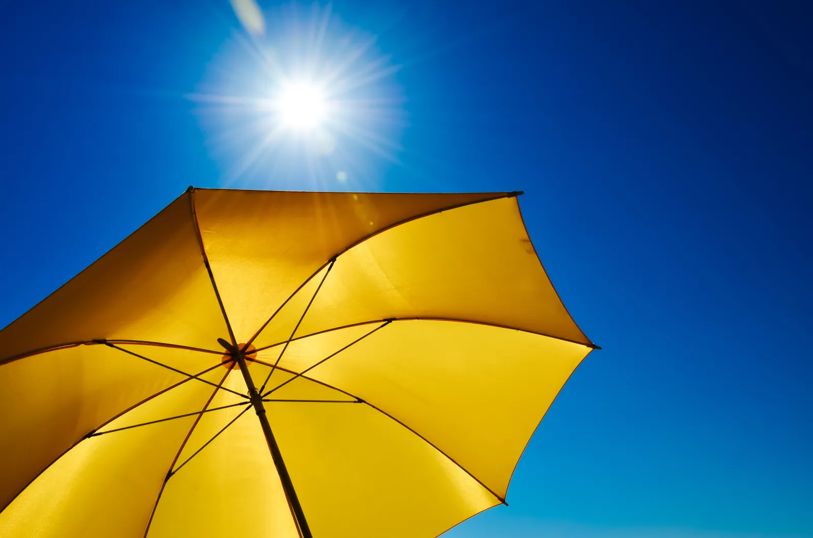 Yellow umbrella providing cover under a bright sun and blue sky