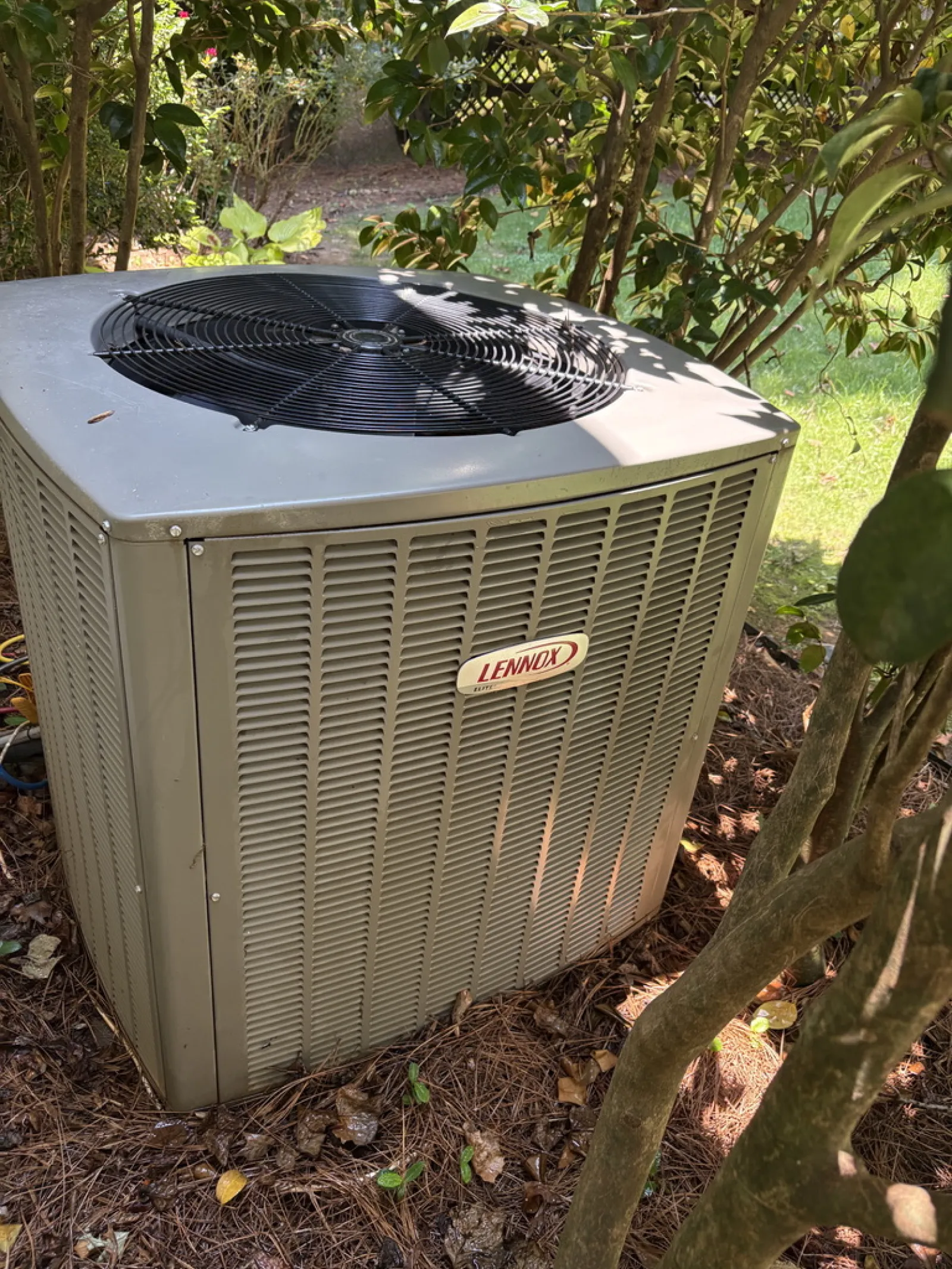 Outdoor Lennox air conditioning unit surrounded by greenery and pine straw on the ground.