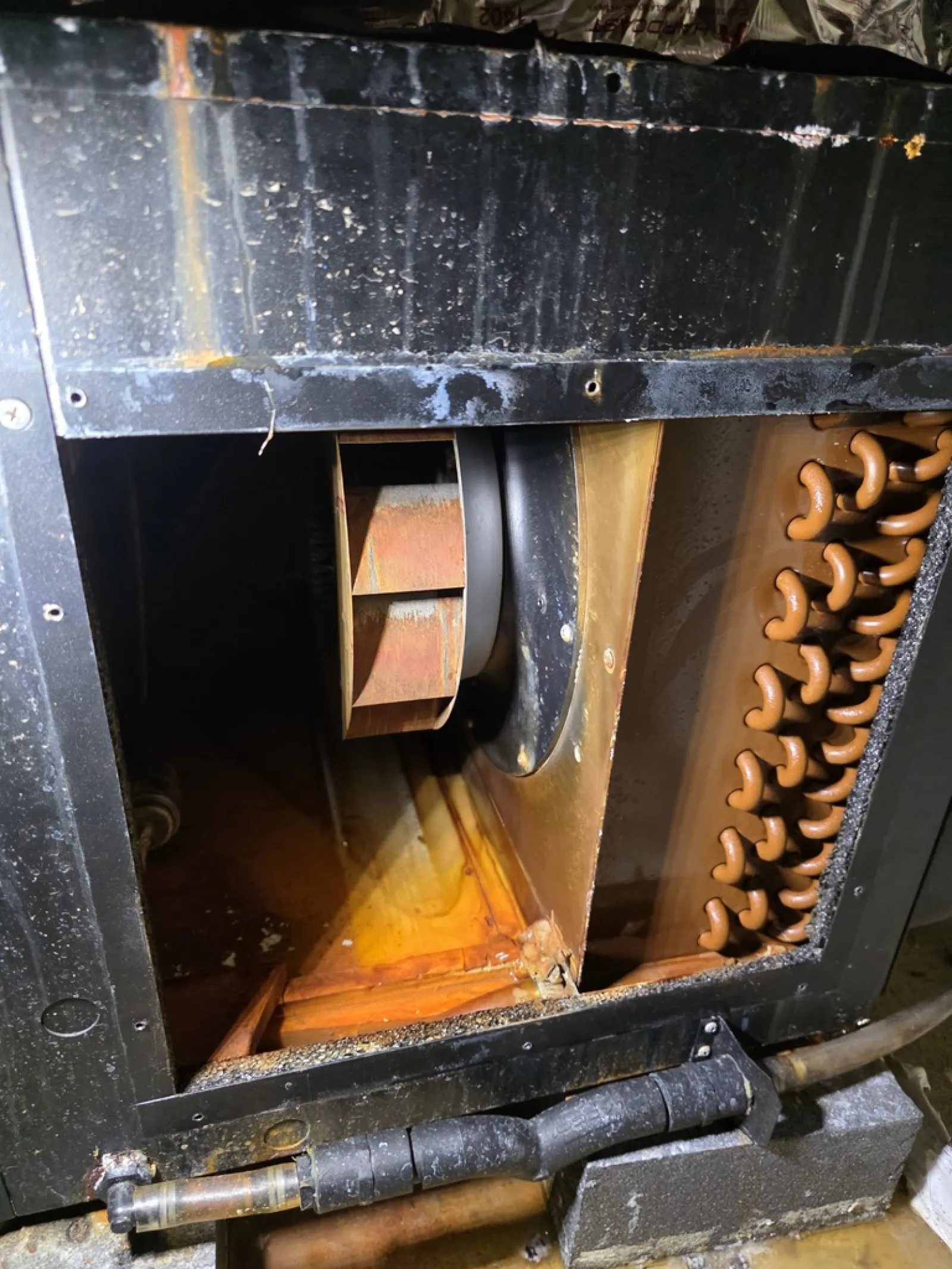 Rusty HVAC unit interior showing a corroded fan and copper coil with water damage and buildup.