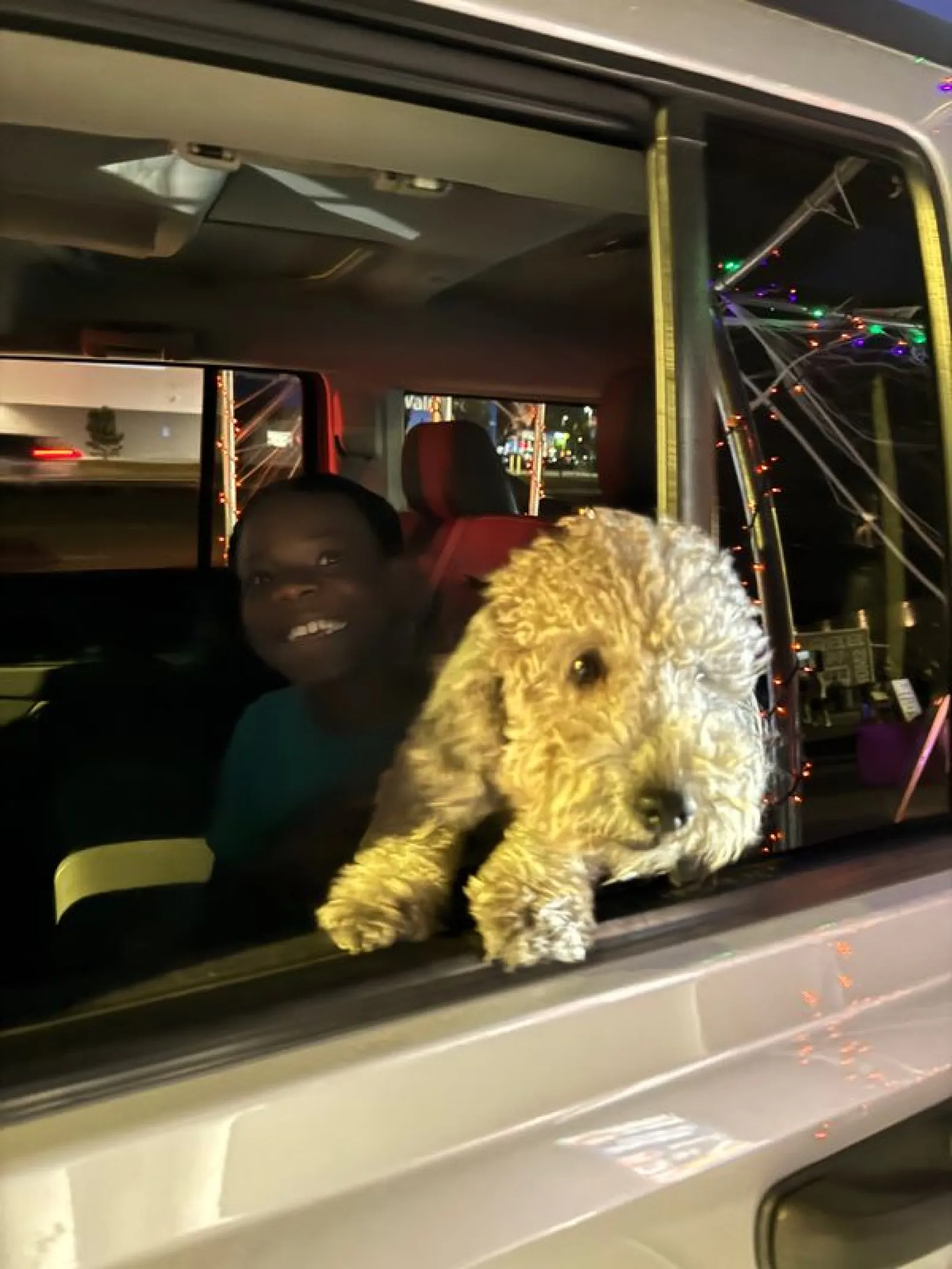 Curly-haired dog leaning out of car window at night with child smiling inside vehicle.