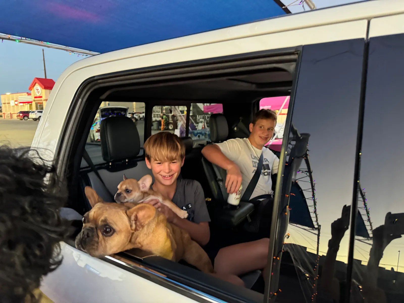 Two boys sitting inside a car with two French bulldogs looking out the open window during dusk.
