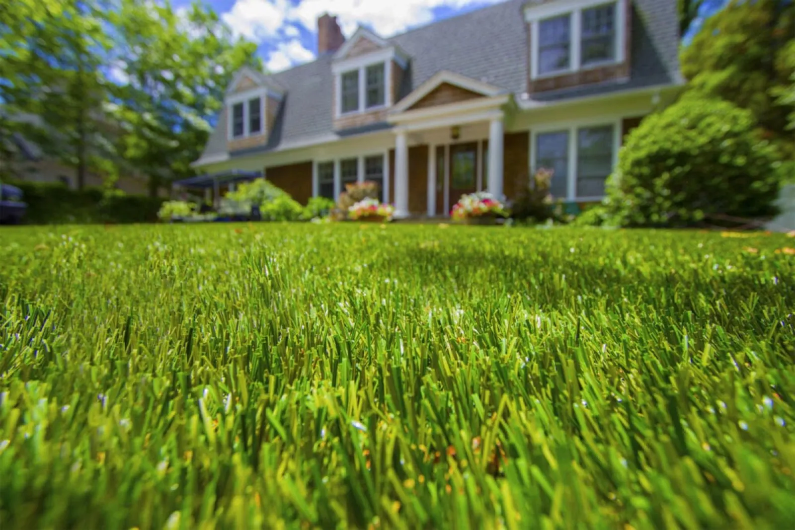 a house with a lawn in front of it