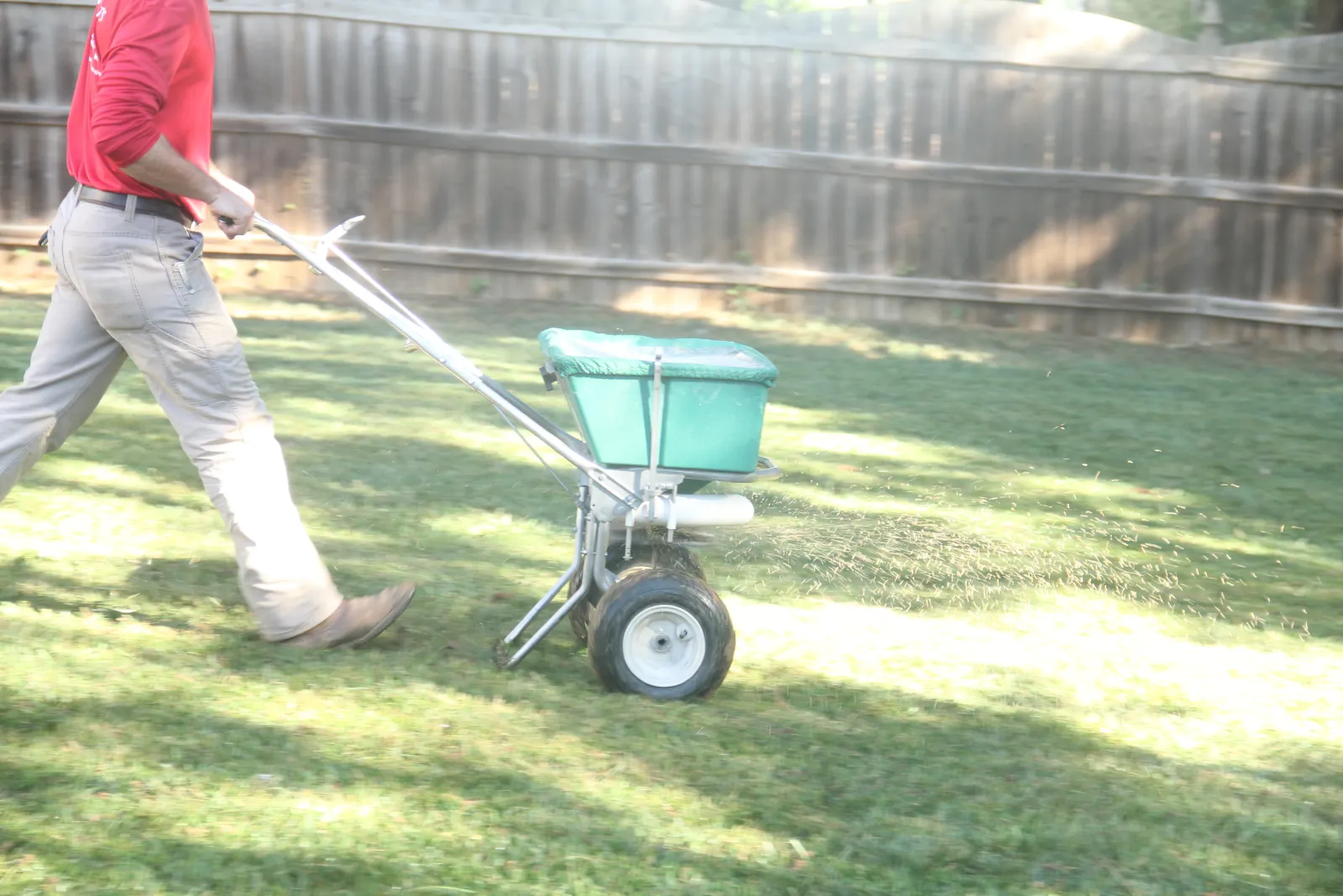 Seeding fescue grass in the Fall