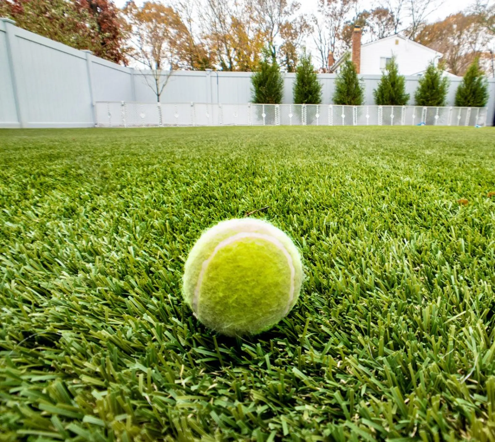 a tennis ball on the grass