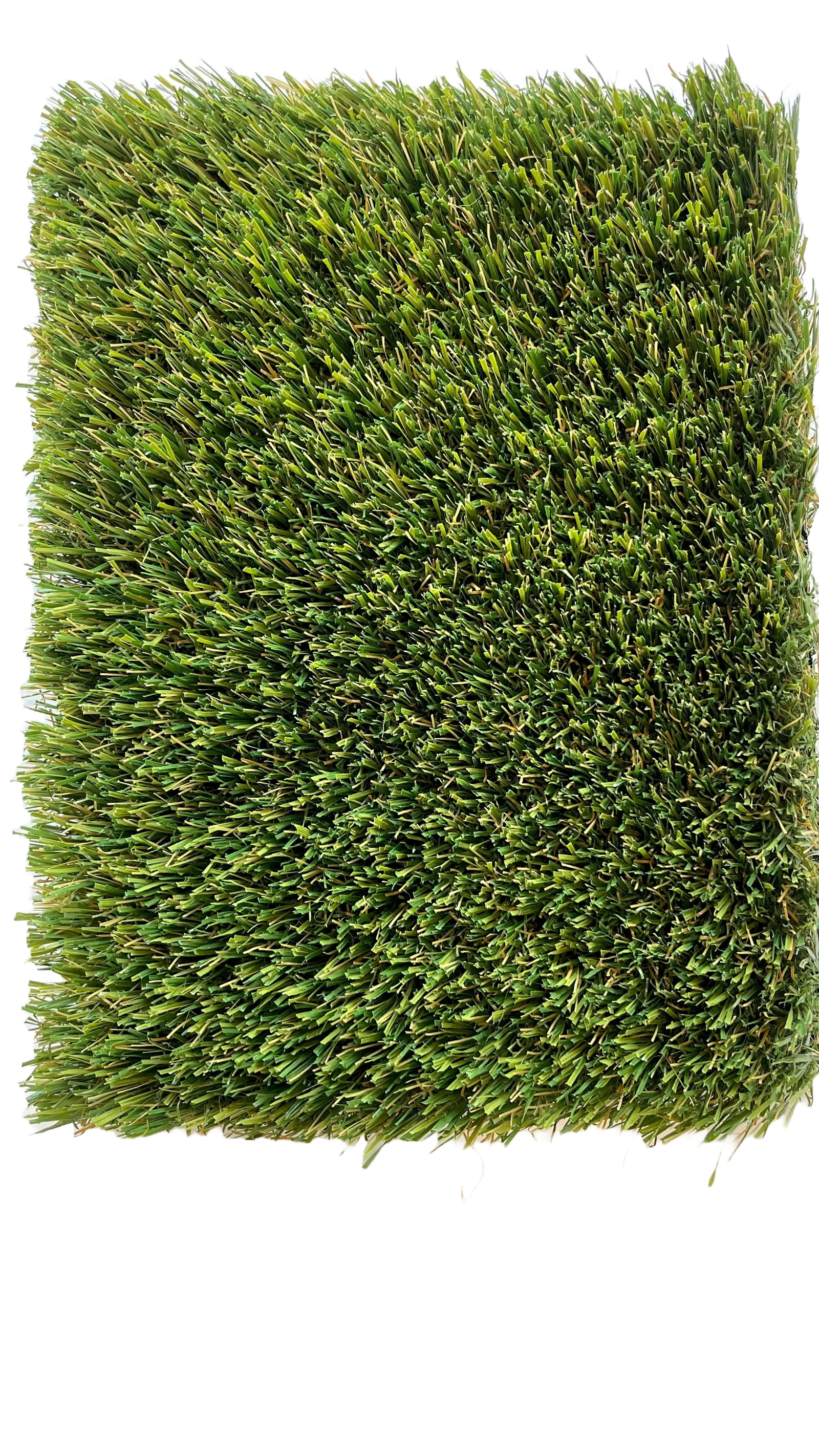 a close up of a green grass