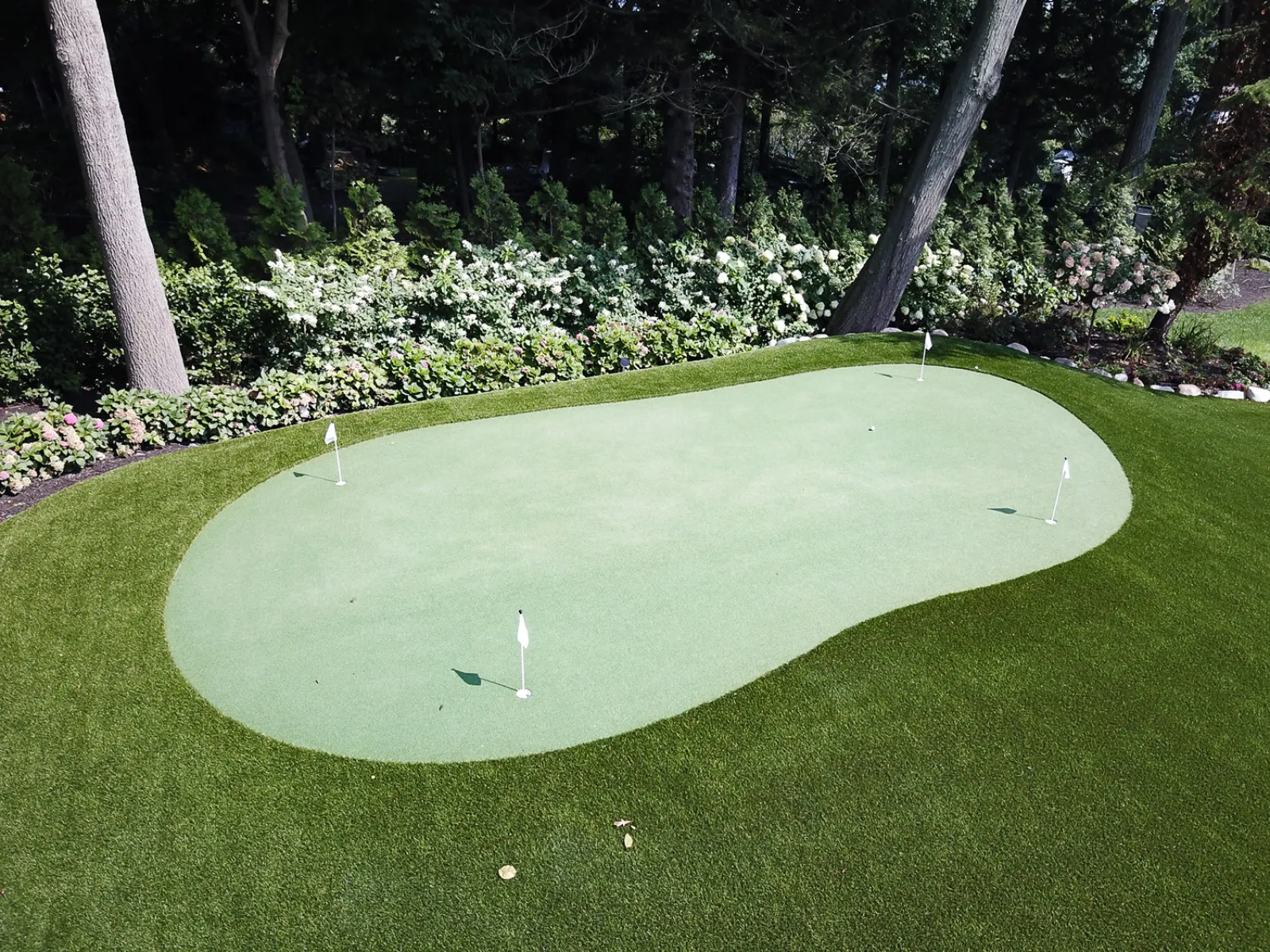 a golf ball on a green golf course