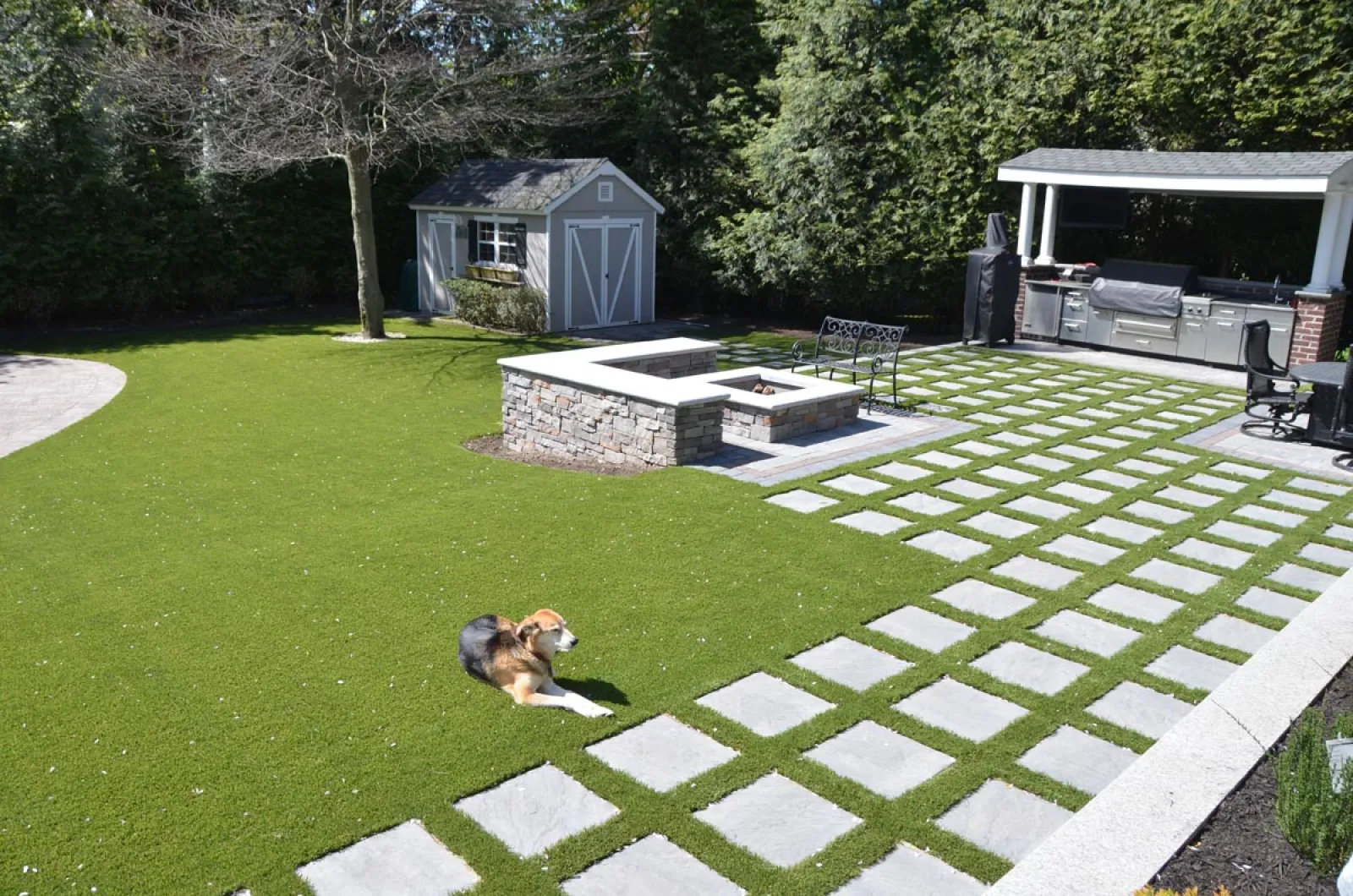 a dog lying on a green lawn