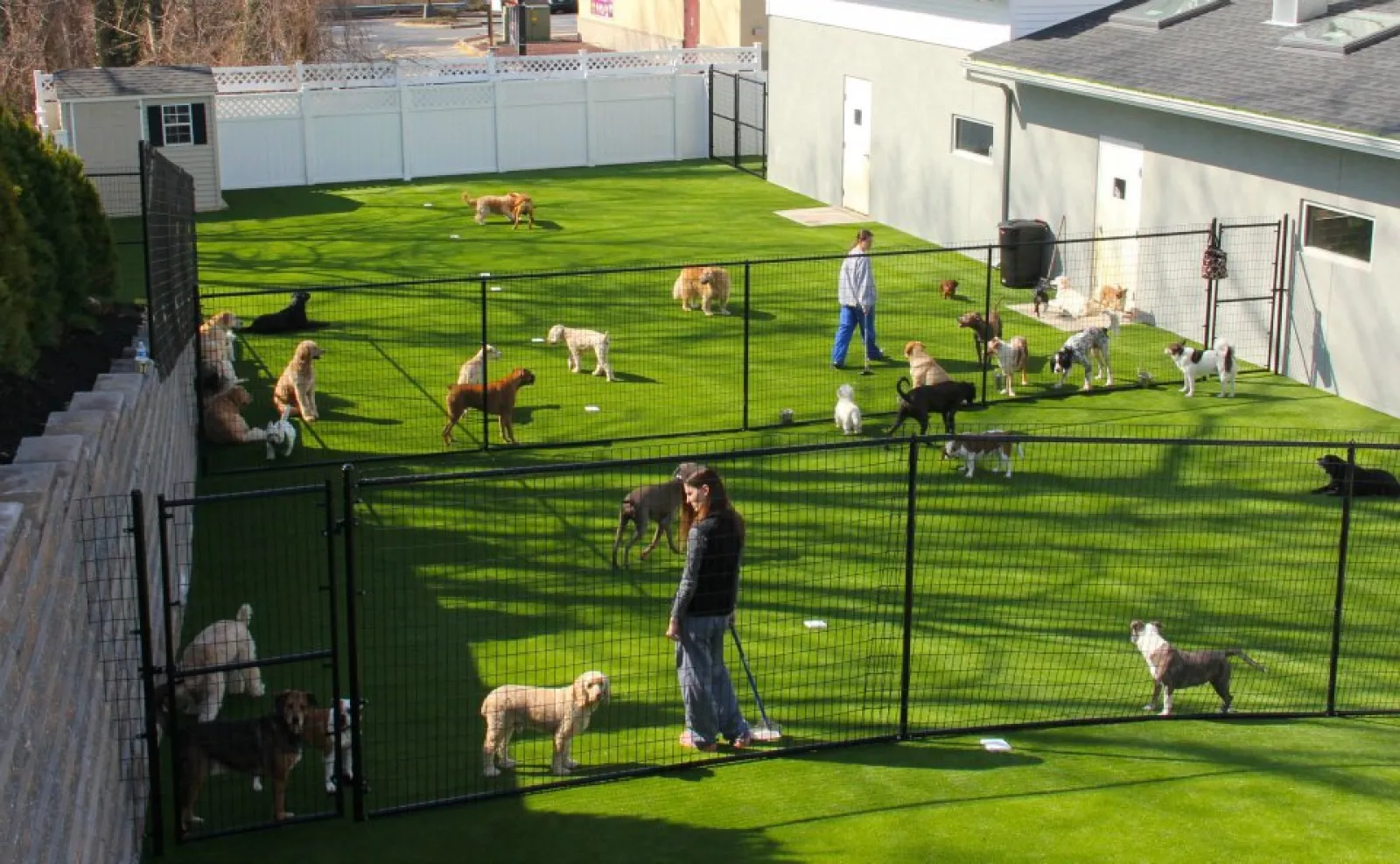 a group of people in a fenced in area with animals