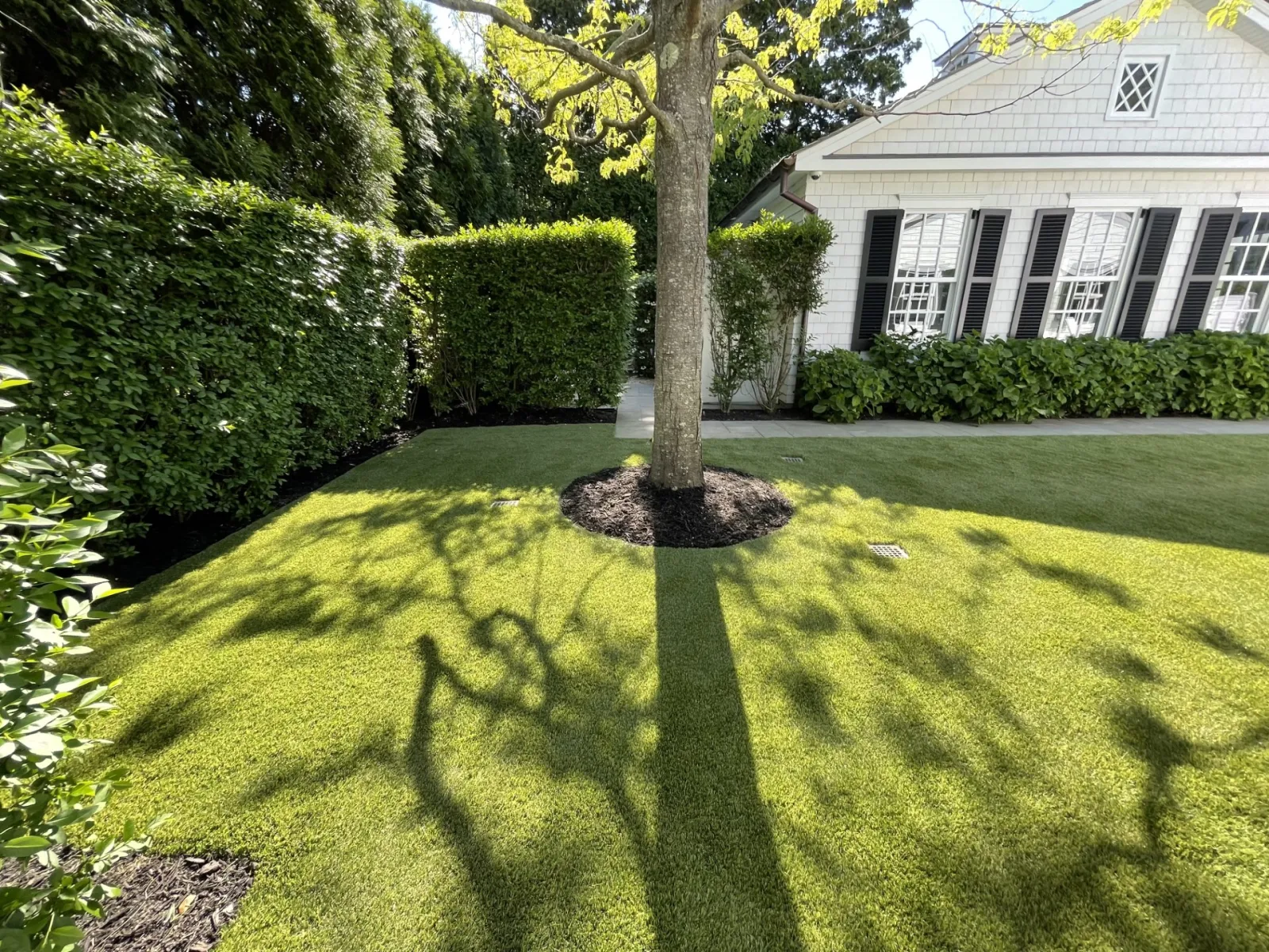 a person's shadow on a lawn in front of a house