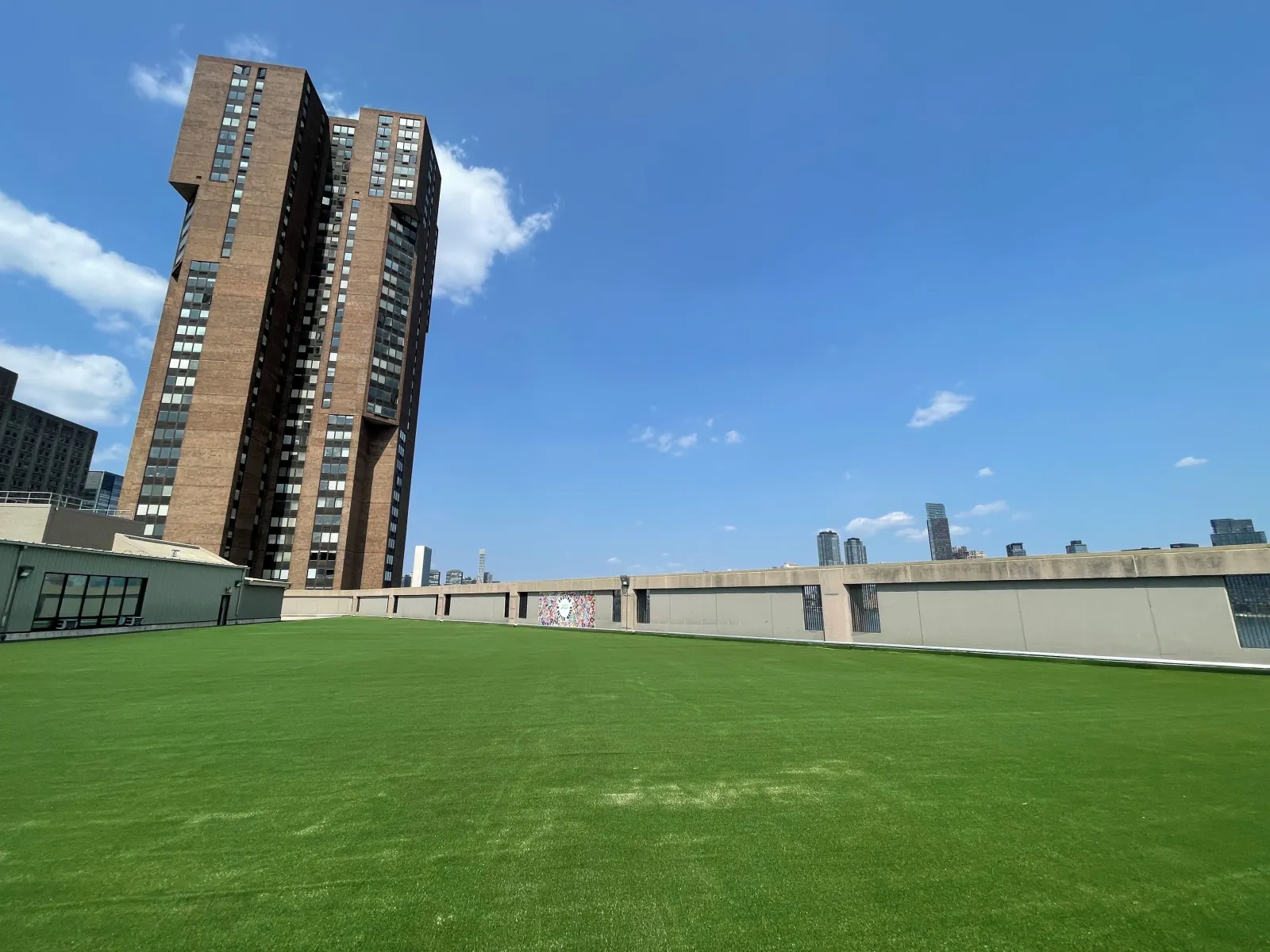 a grassy area with buildings in the background