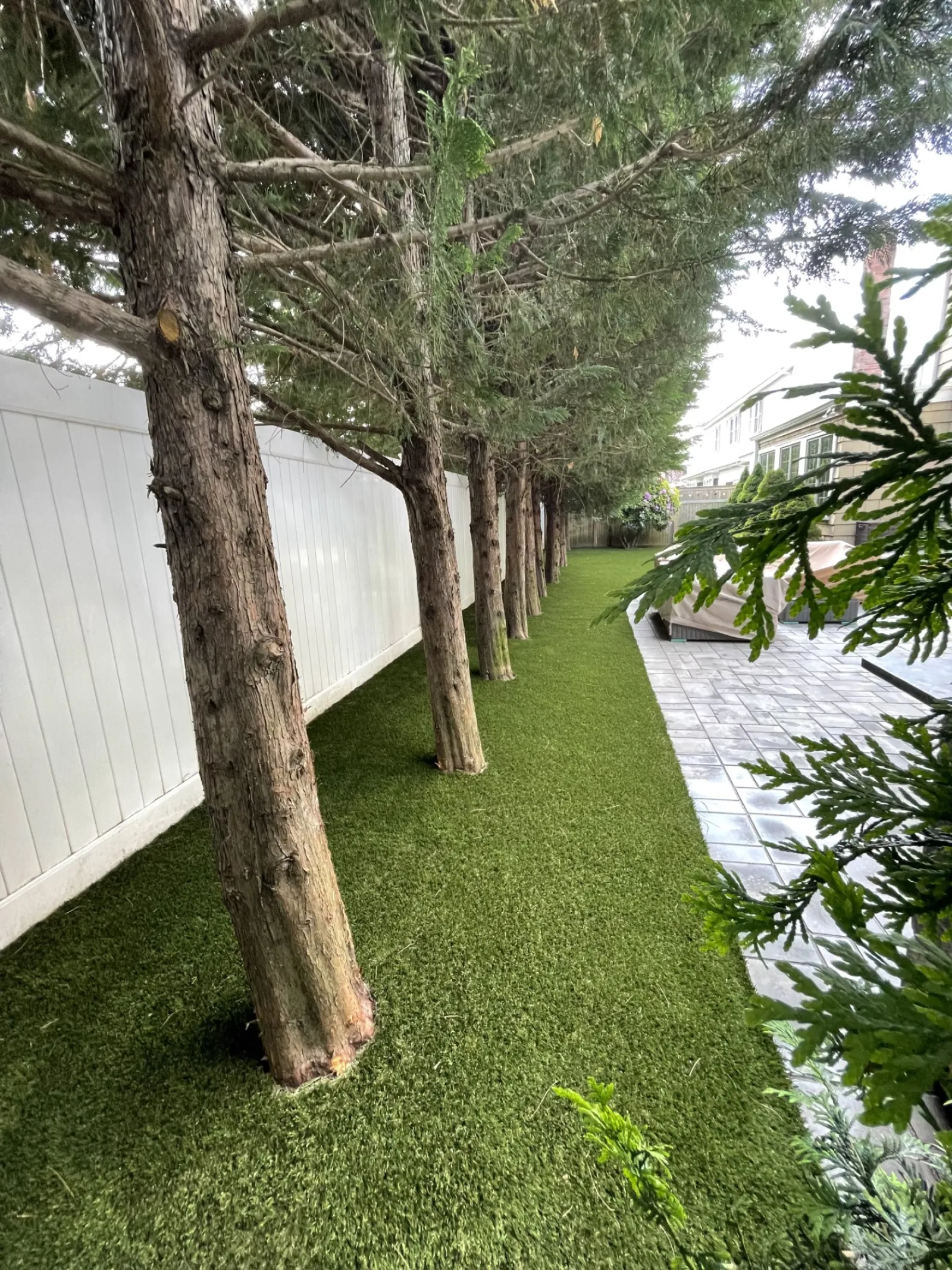 a backyard with trees and grass