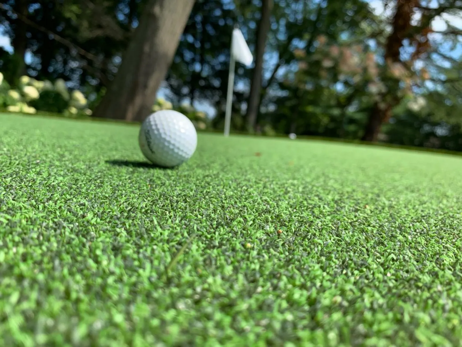 a golf ball on the grass