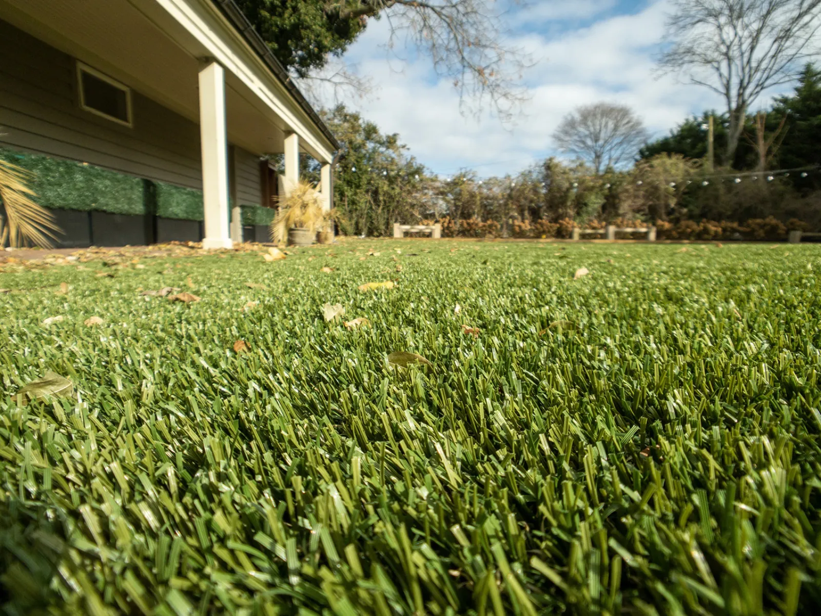 a grassy yard with a house in the background