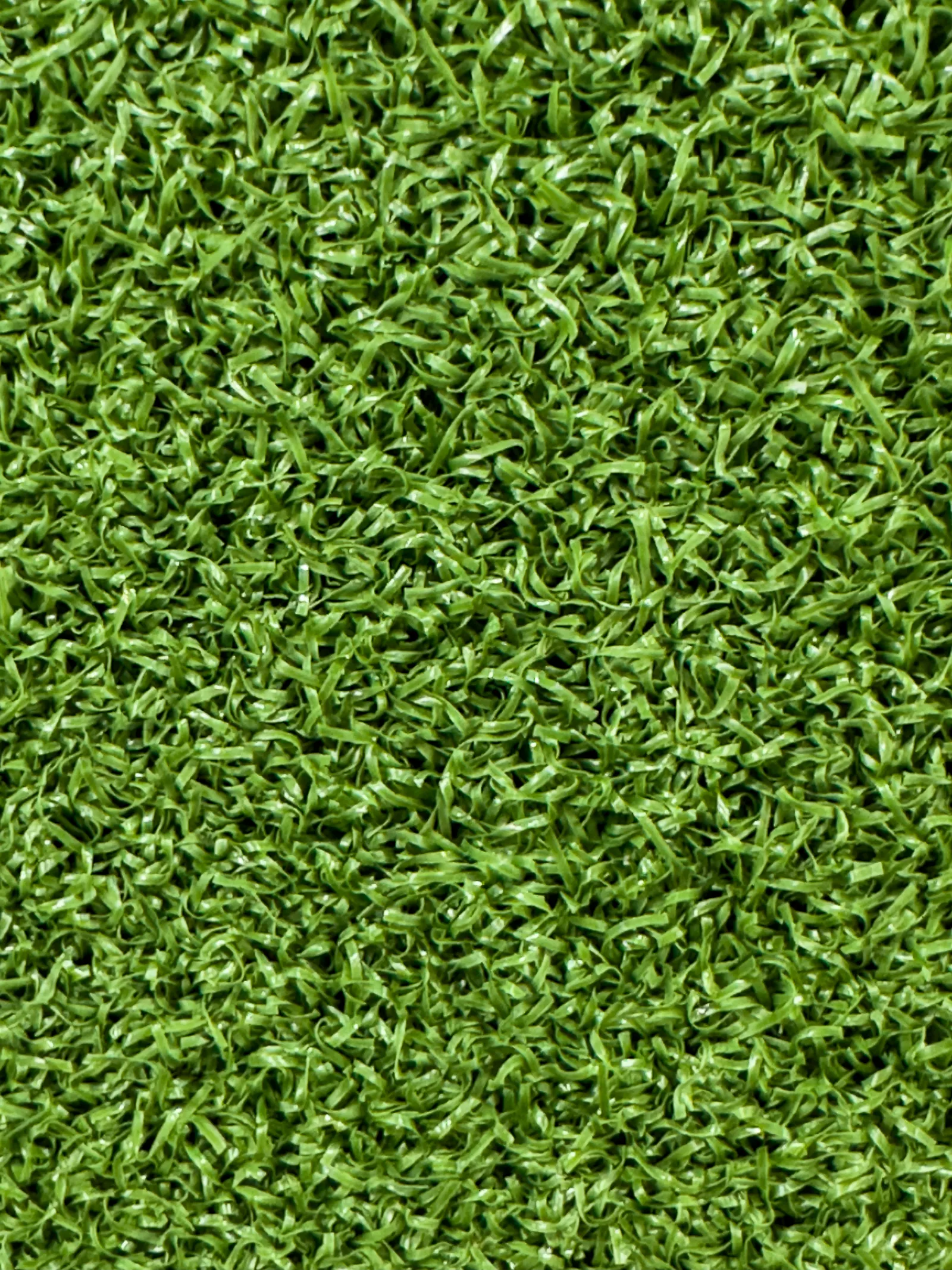 a close up of some grass