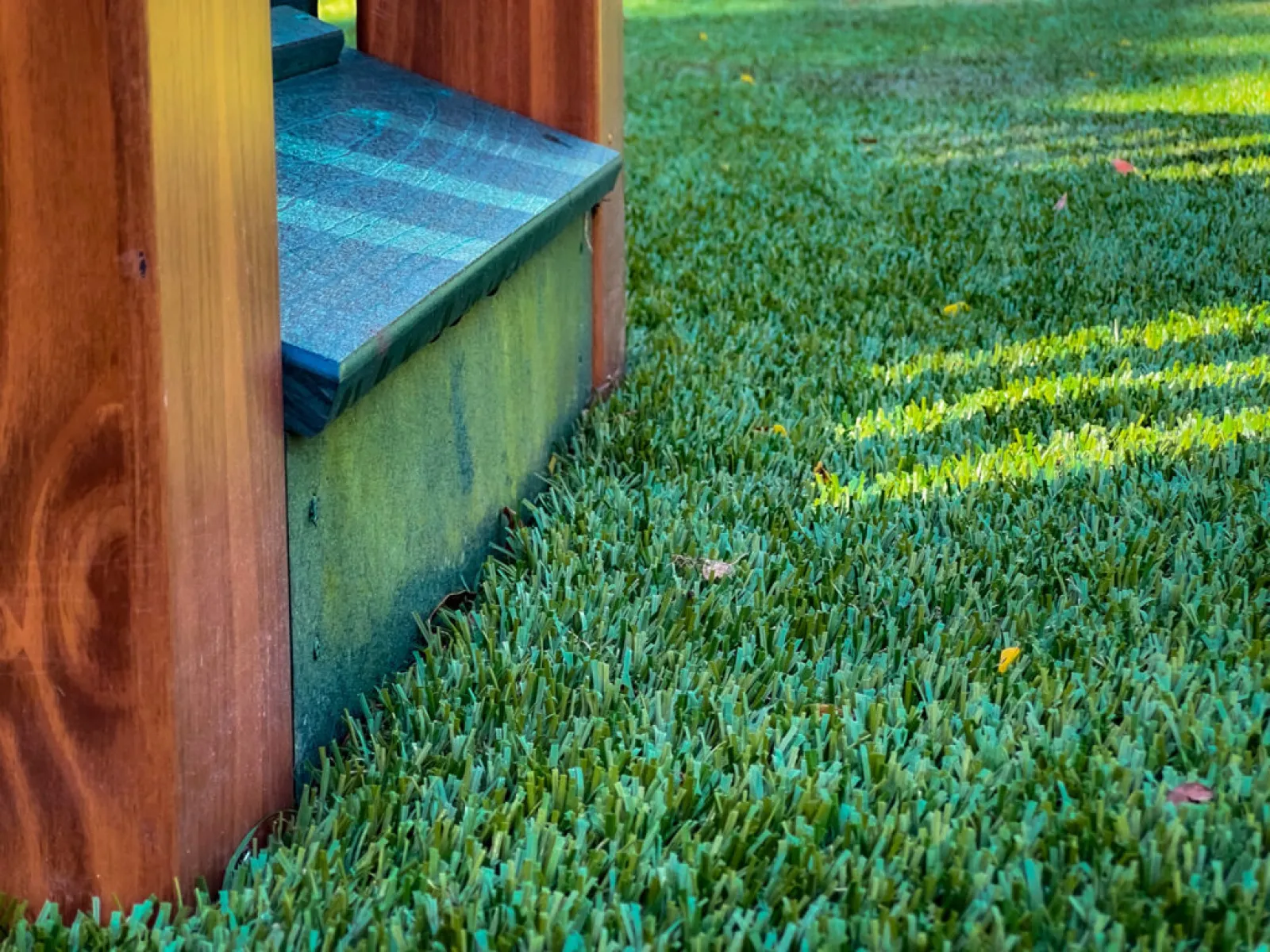 a grassy area with a bench