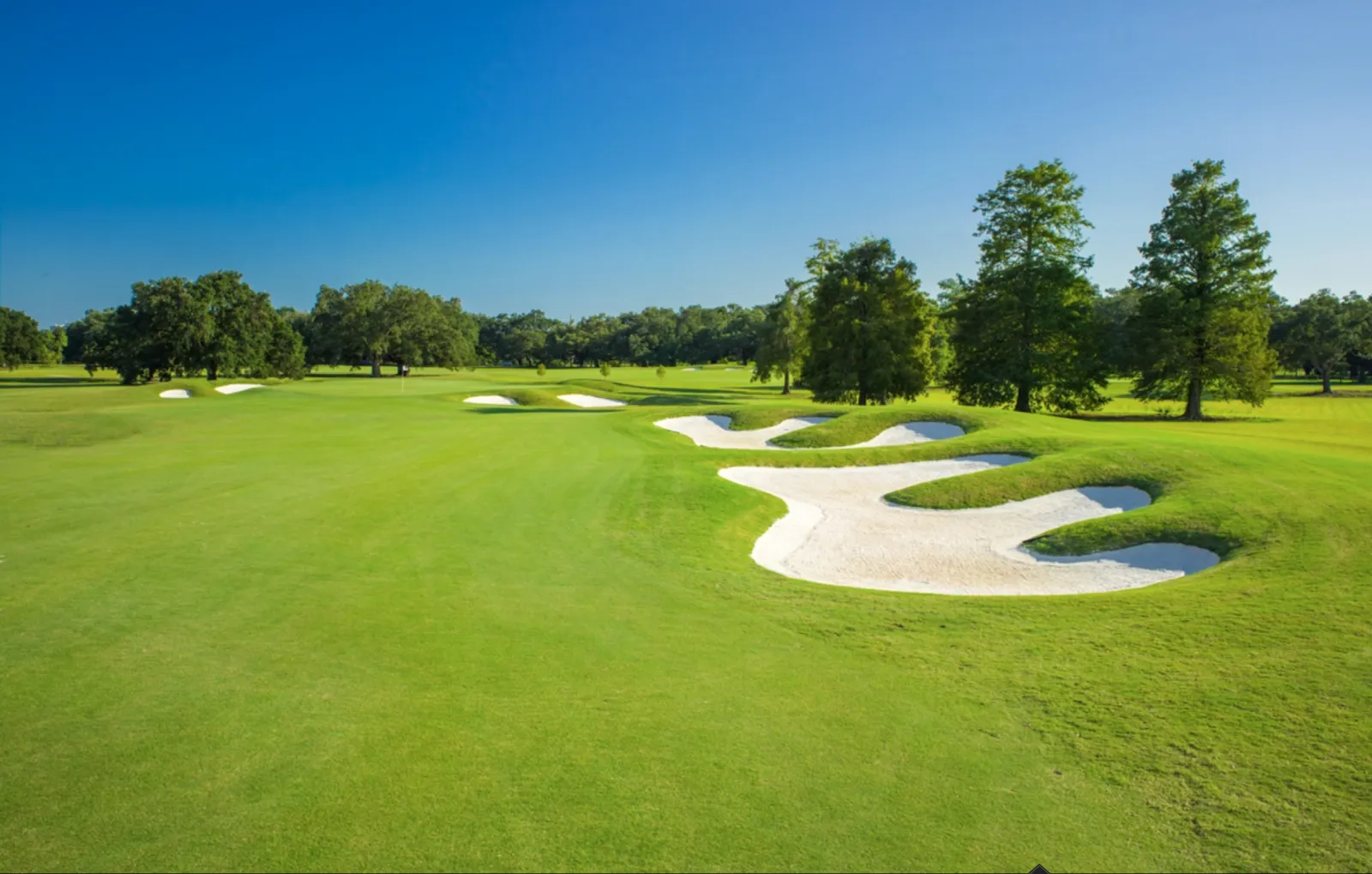 10 Best Golf Courses in Greater New Orleans | Where Y'at New Orleans