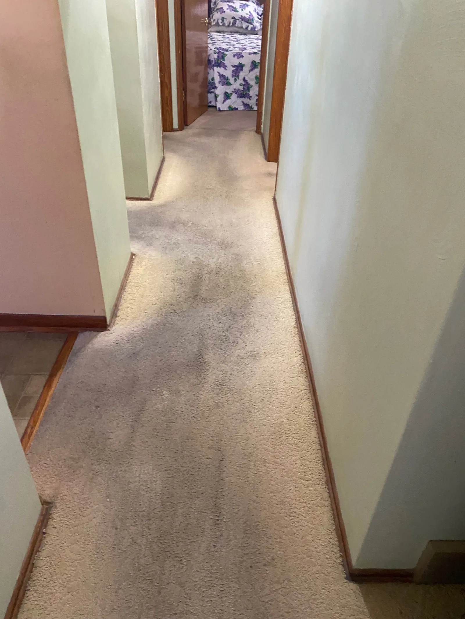 dirty and discolored carpet in hallway in need of cleaning