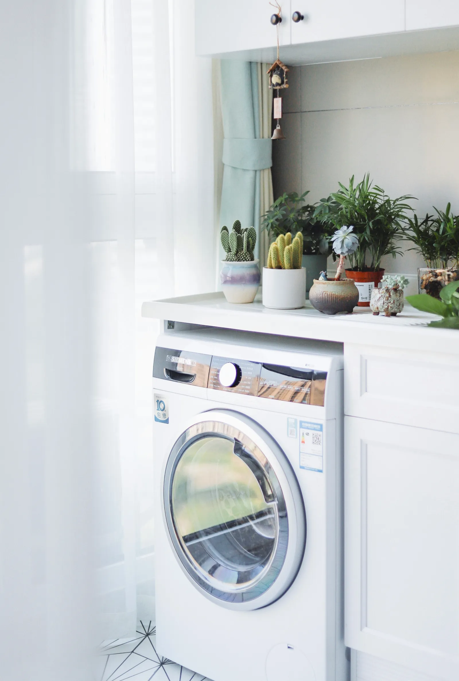 white dryer in a laundry room, with green potted succulent and cactus plants on top of it