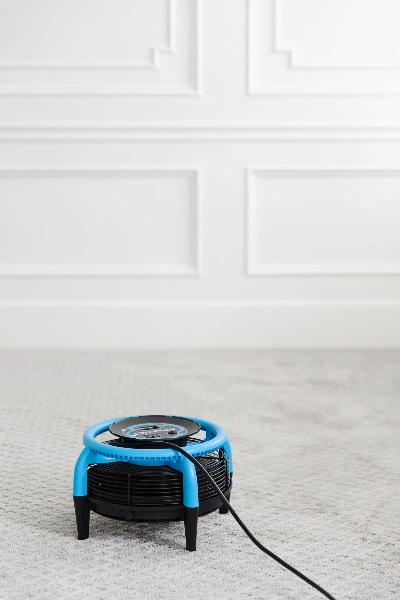 blue air mover fan used to dry white textured carpet so it doesn't smell after carpet cleaning