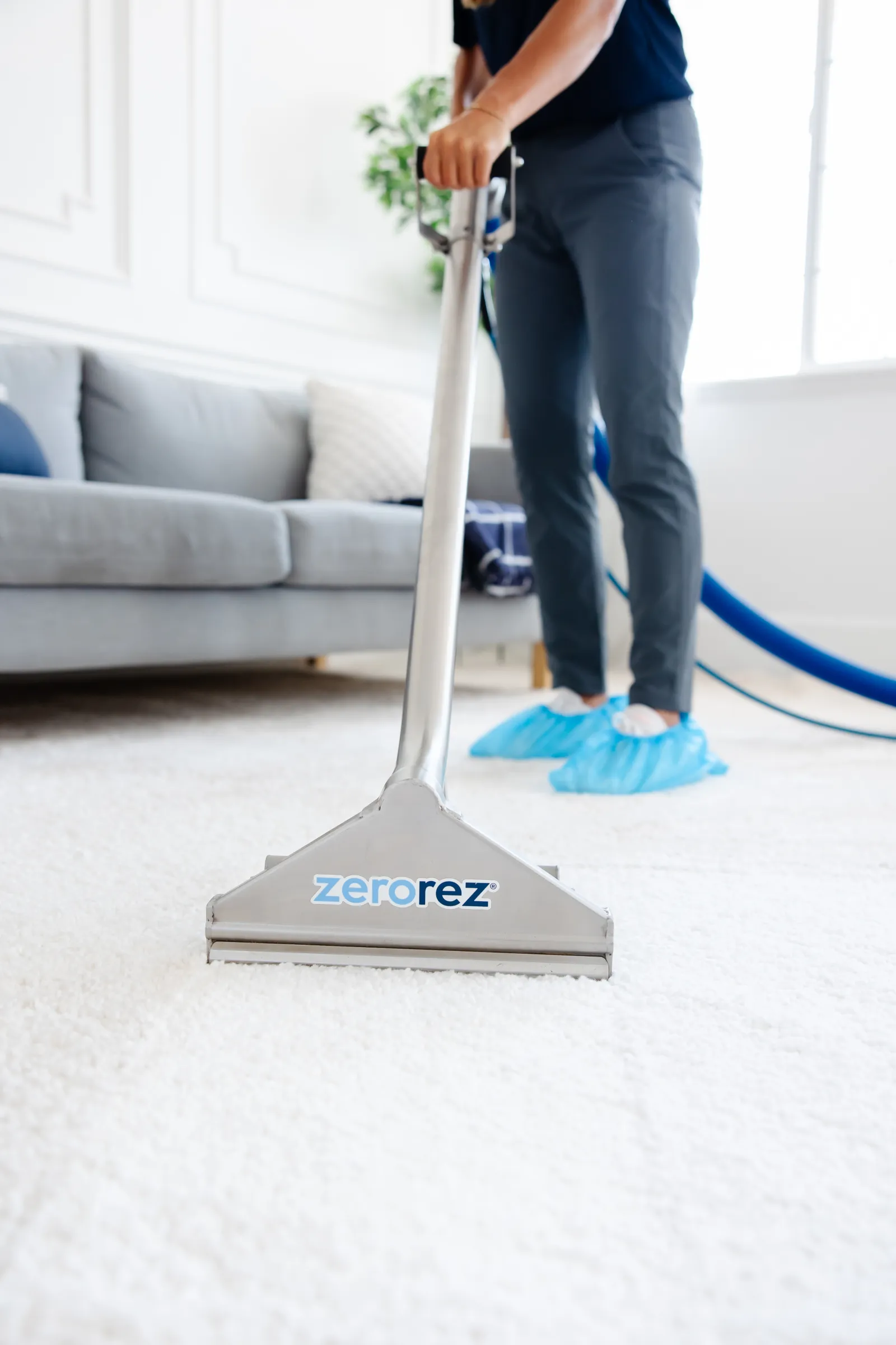 a female technician pulling back a Zerorez Zr Wand and cleaning a white carpet in a living room in order to help get rid of carpet beetles and other pests