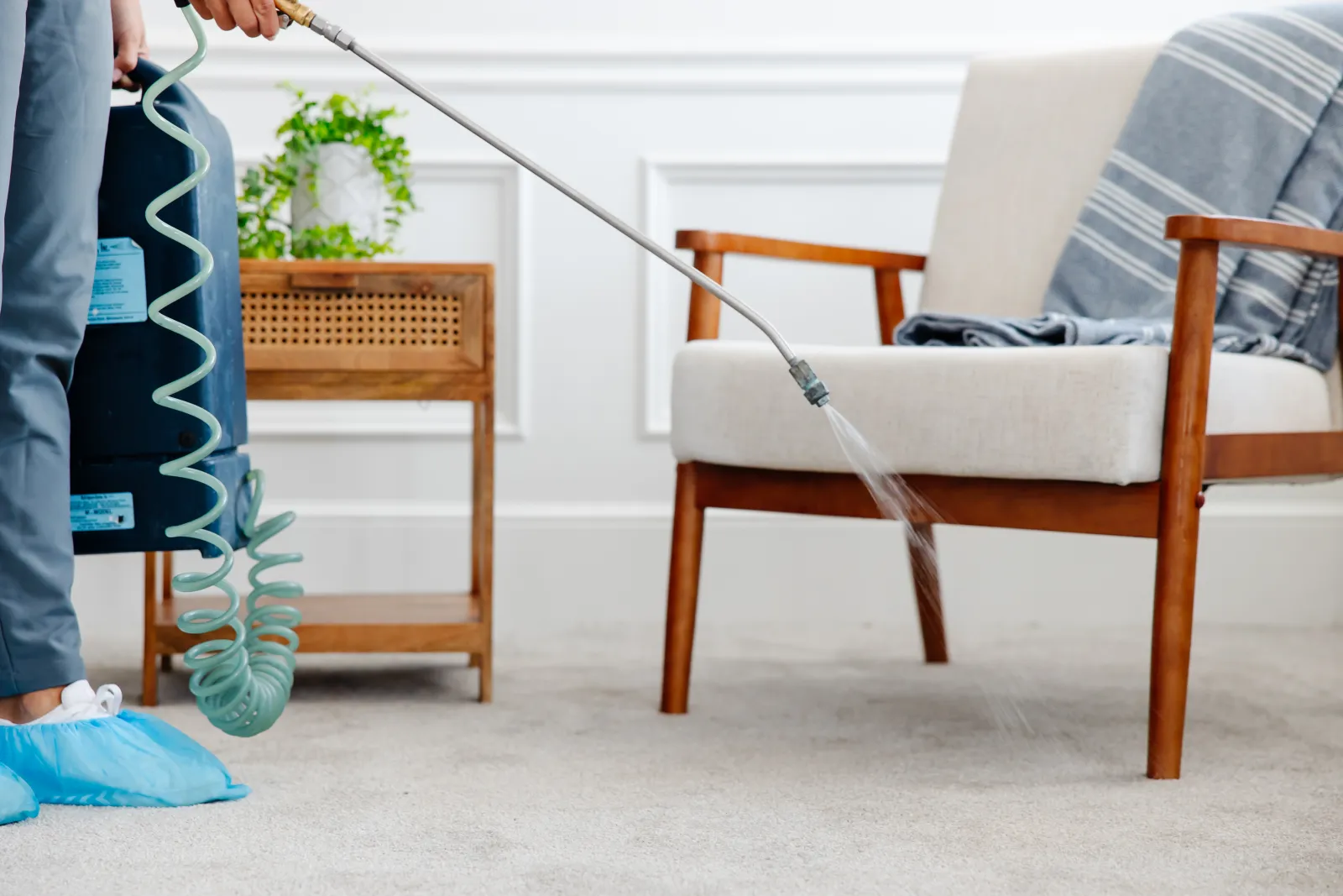 Do Carpet Protectors Work An Honest Review Zerorez Cleaning
