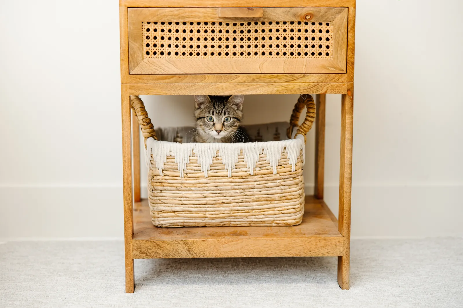 Brown and black cat in whicker basket in table on white carpet