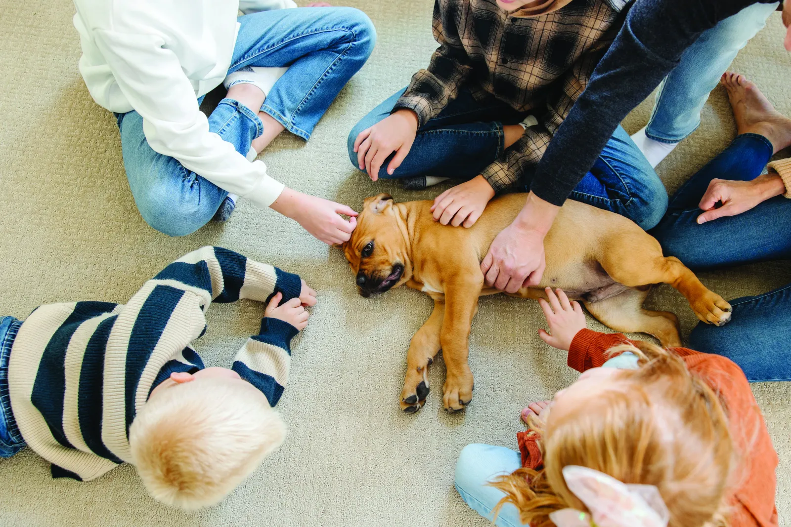 dog on carpet while kids are petting the dog