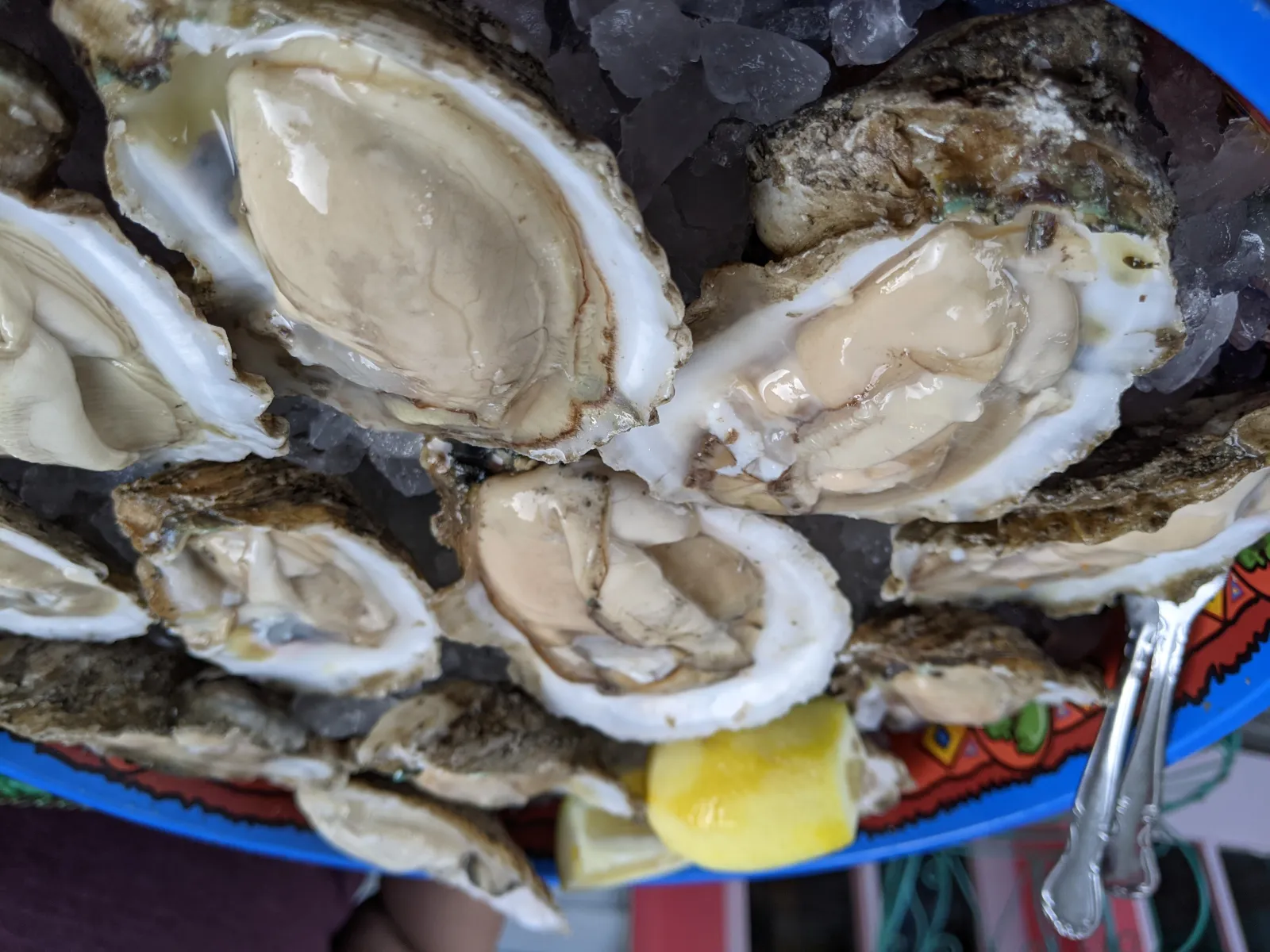 I got this 9qt in Oyster for half off during a crazy sale online. I've been  wanting one this size so bad but they're so pricy. Can't wait to cook up a