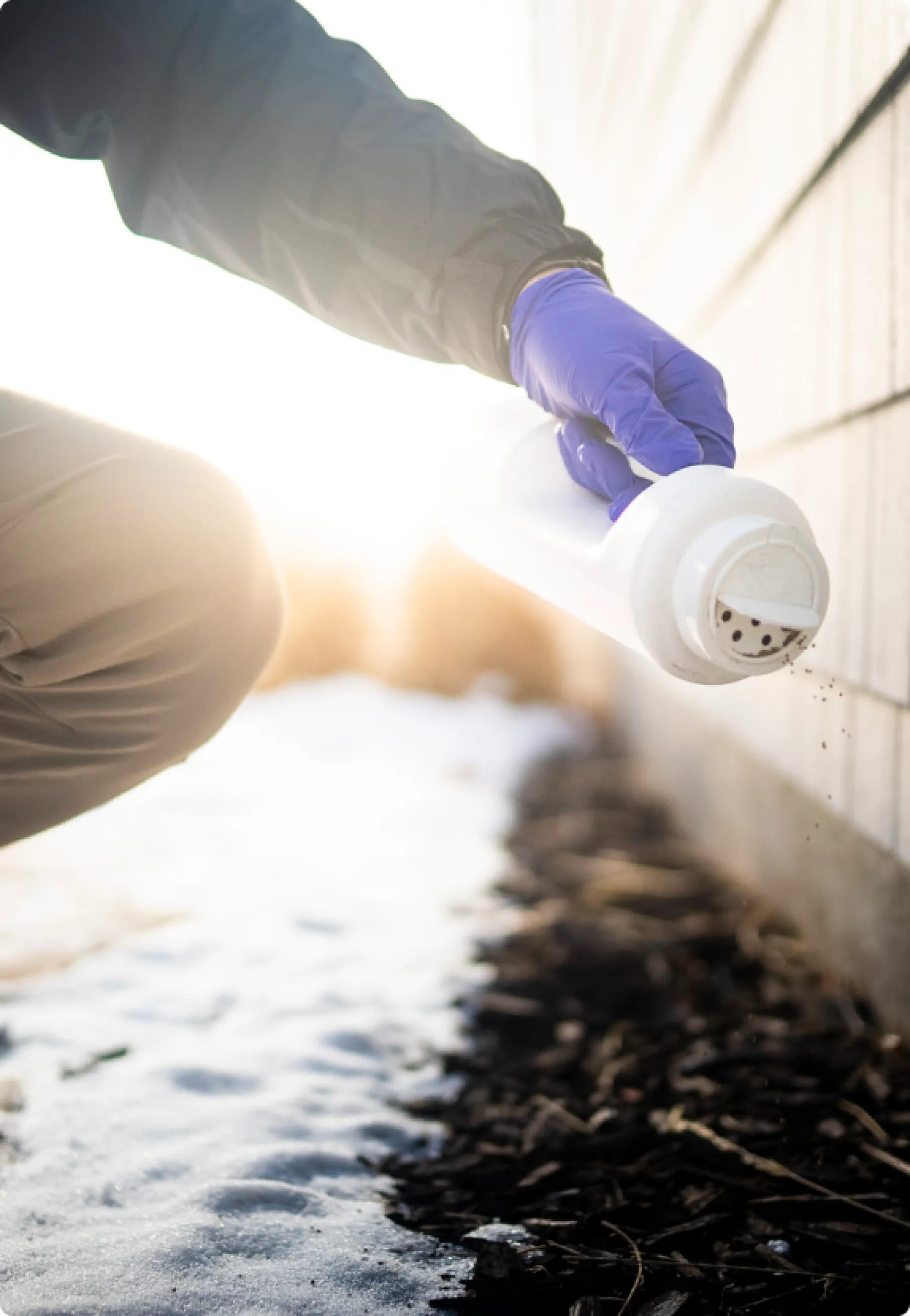 Exterminator & Pest Control Louisville KY Greenix Pest Control