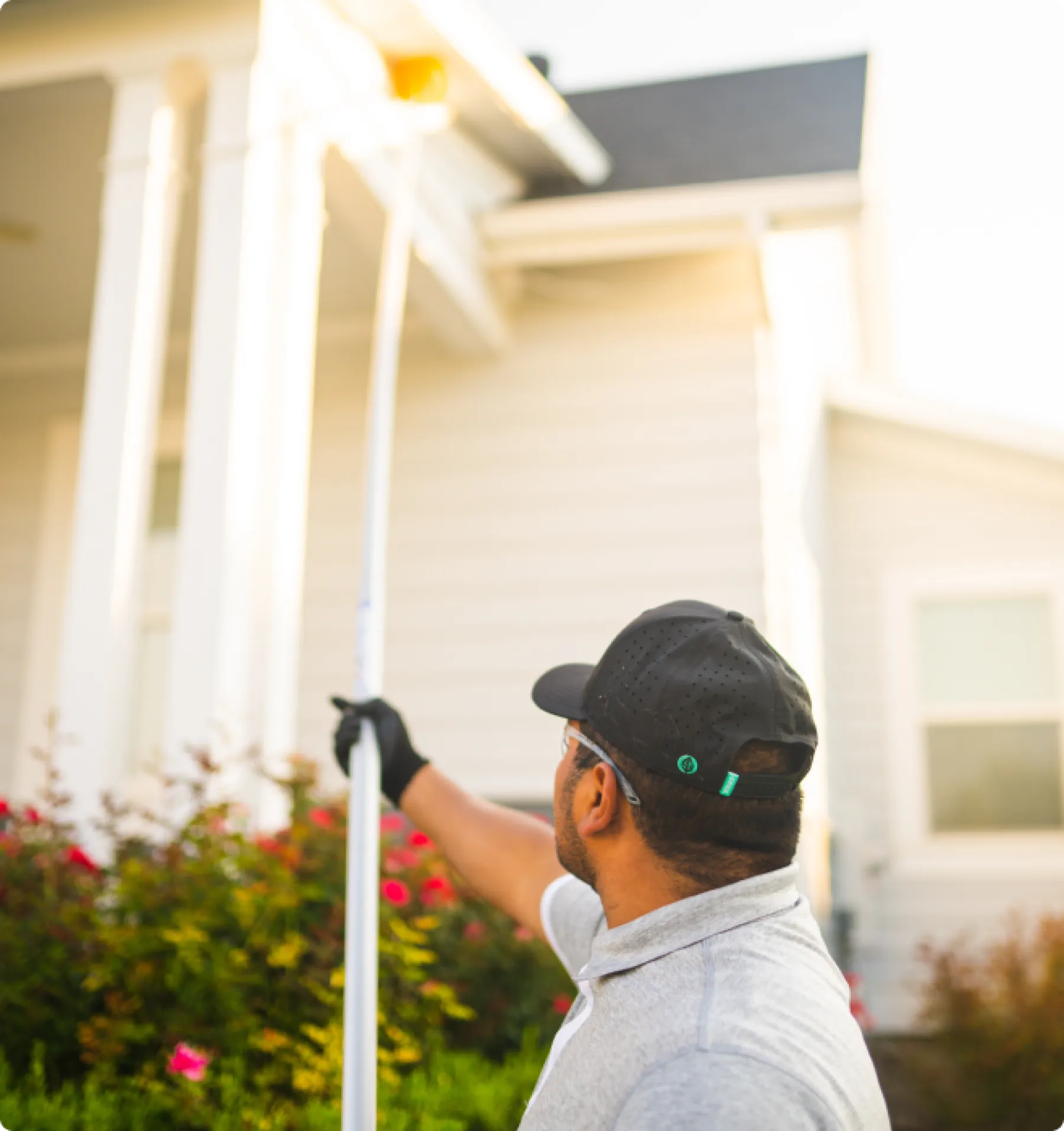 Flea Treatment & Control Services Greenix Pest Control