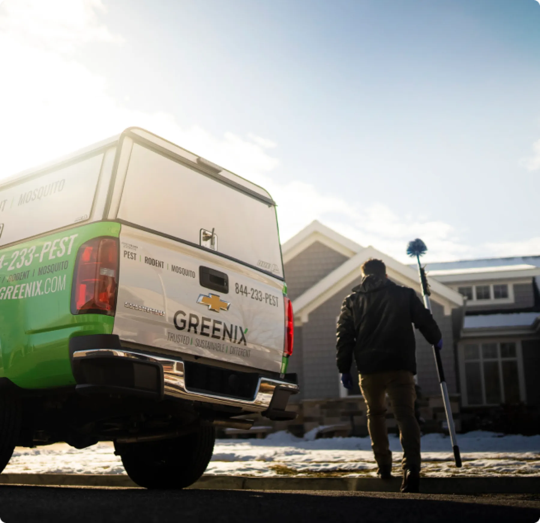 Vole Pest Control | Greenix Pest Control