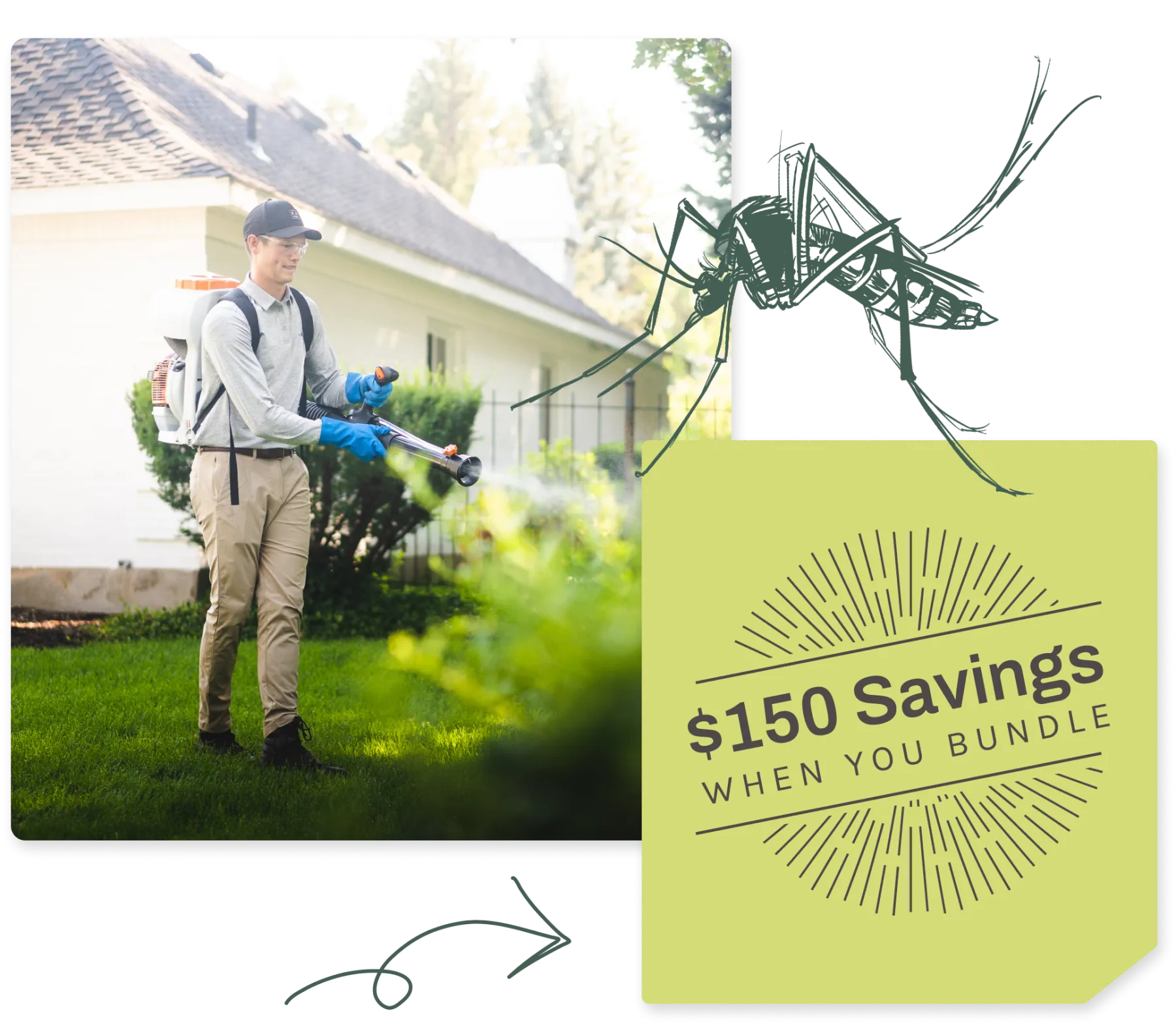 Mosquito Control & Treatments Greenix Pest Control