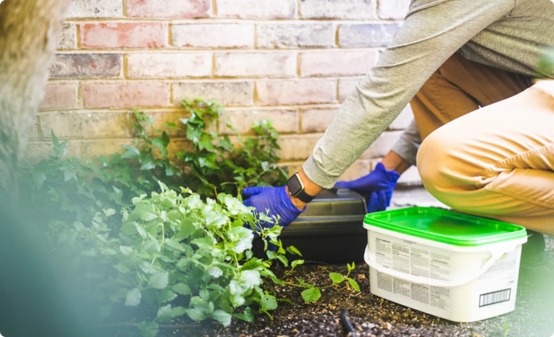 Exterminator & Pest Control Louisville KY Greenix Pest Control