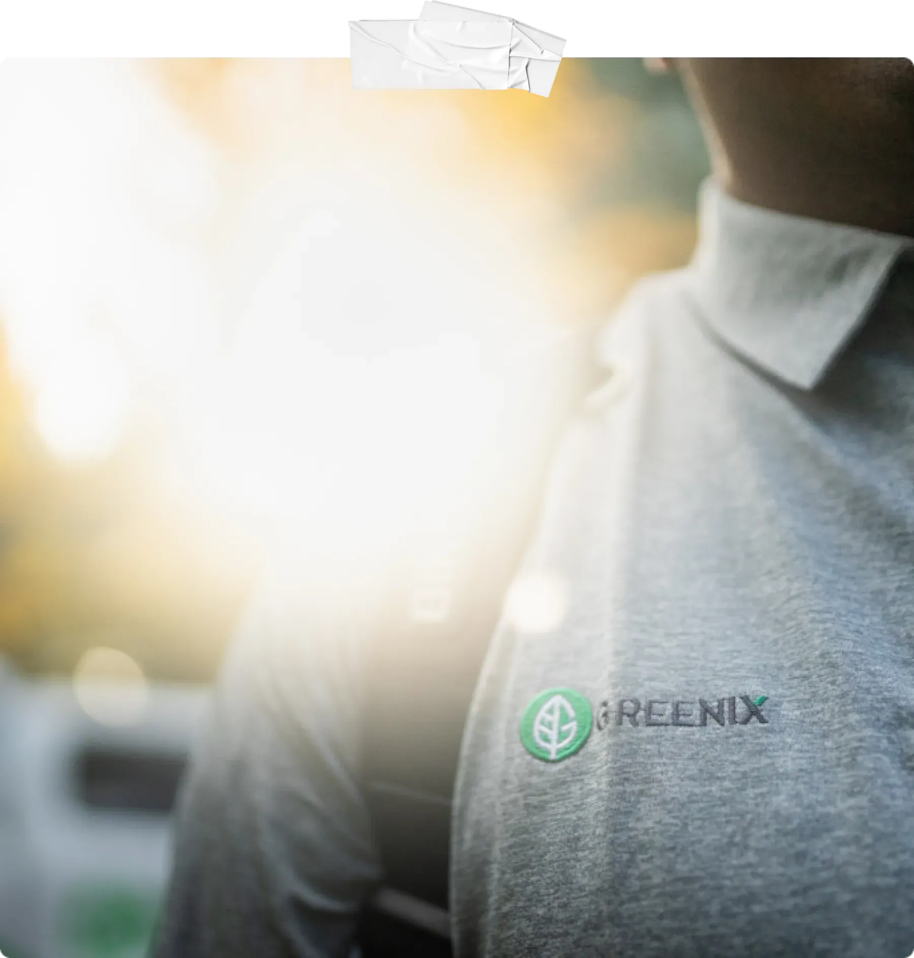 Exterminator Services & Pest Control Detroit, MI Greenix Pest Control