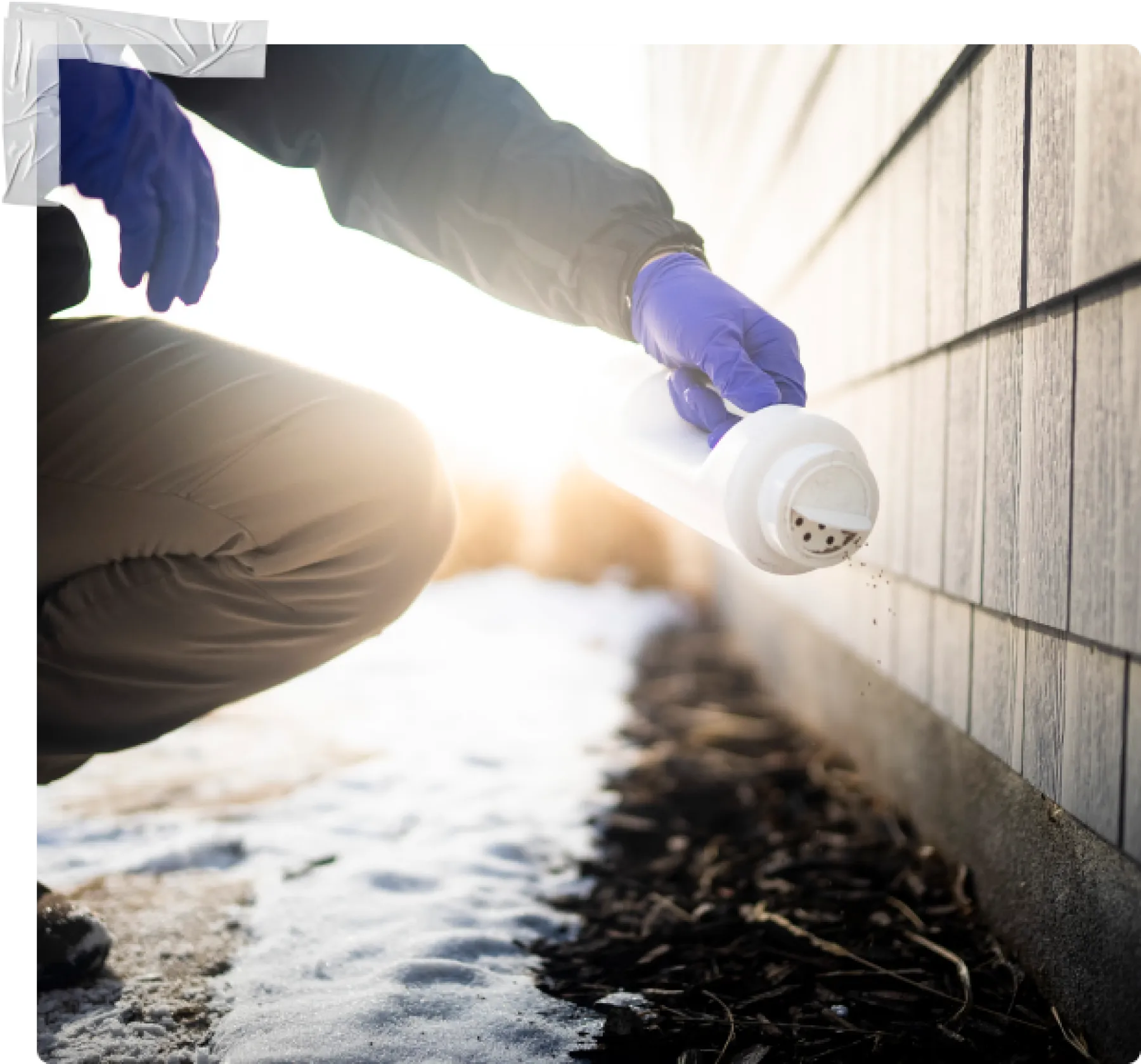 Exterminator Services & Pest Control Detroit, MI Greenix Pest Control