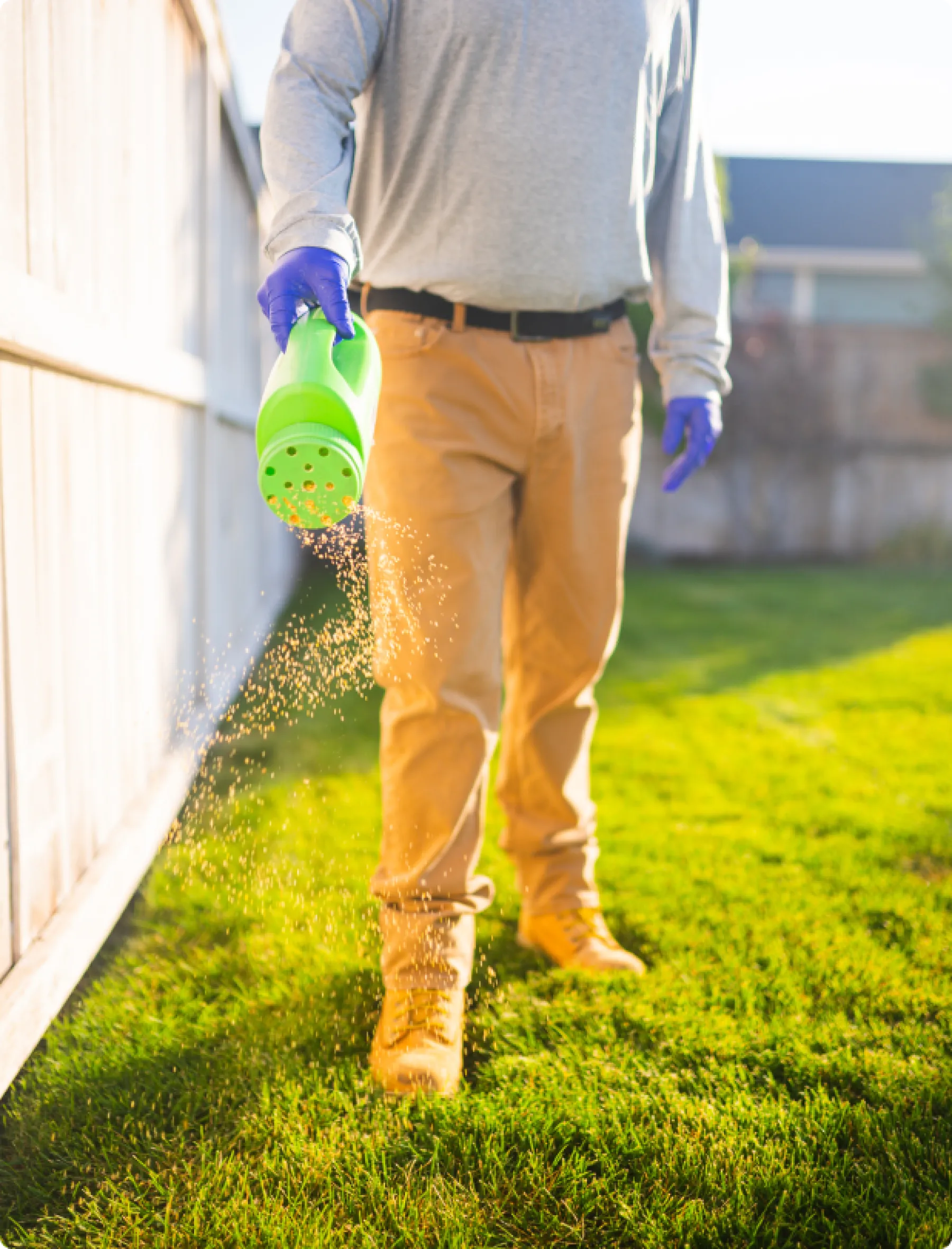 Exterminator Services & Pest Control Des Moines Greenix Pest Control