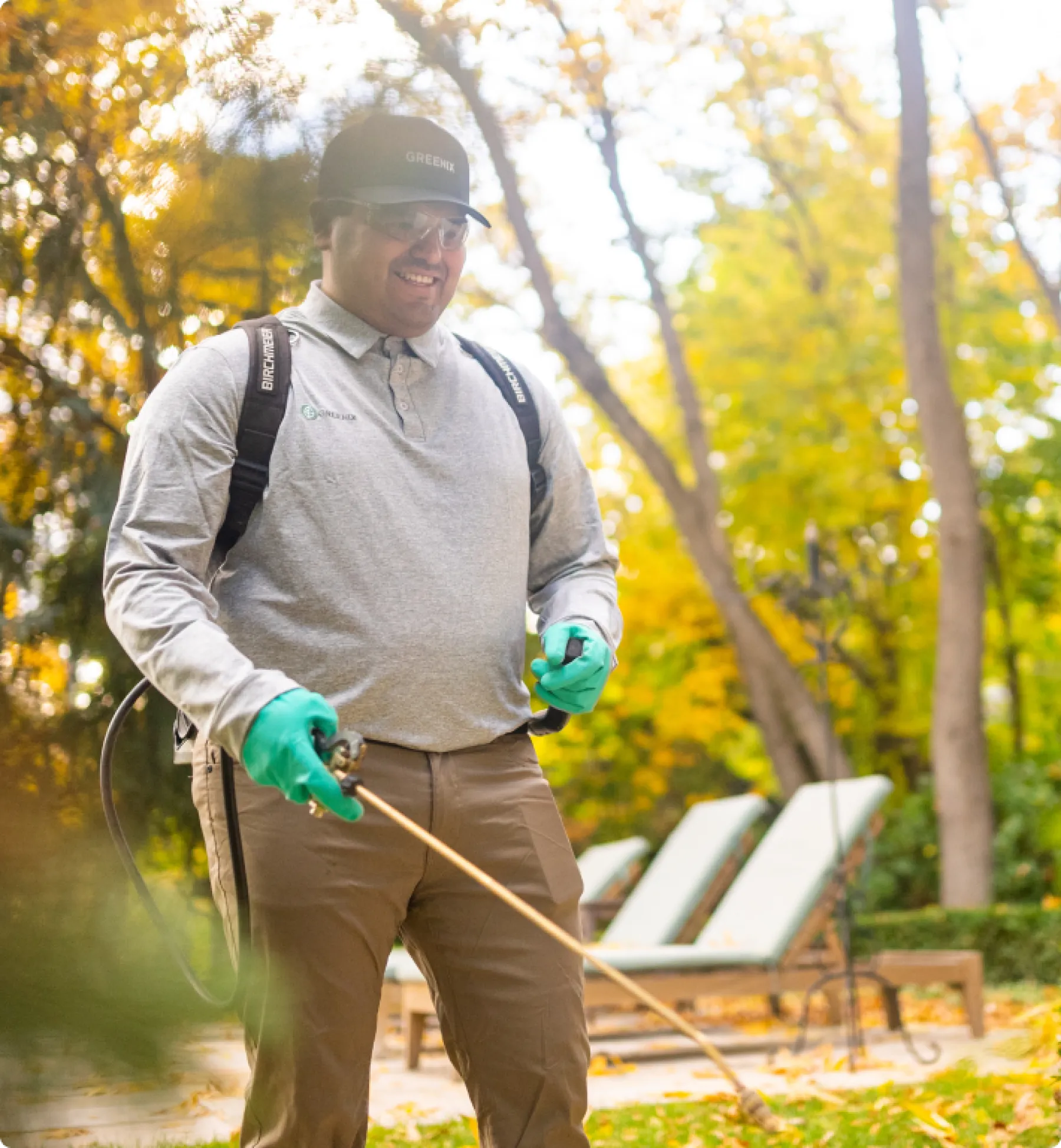 Termite Control Solutions Greenix Pest Control