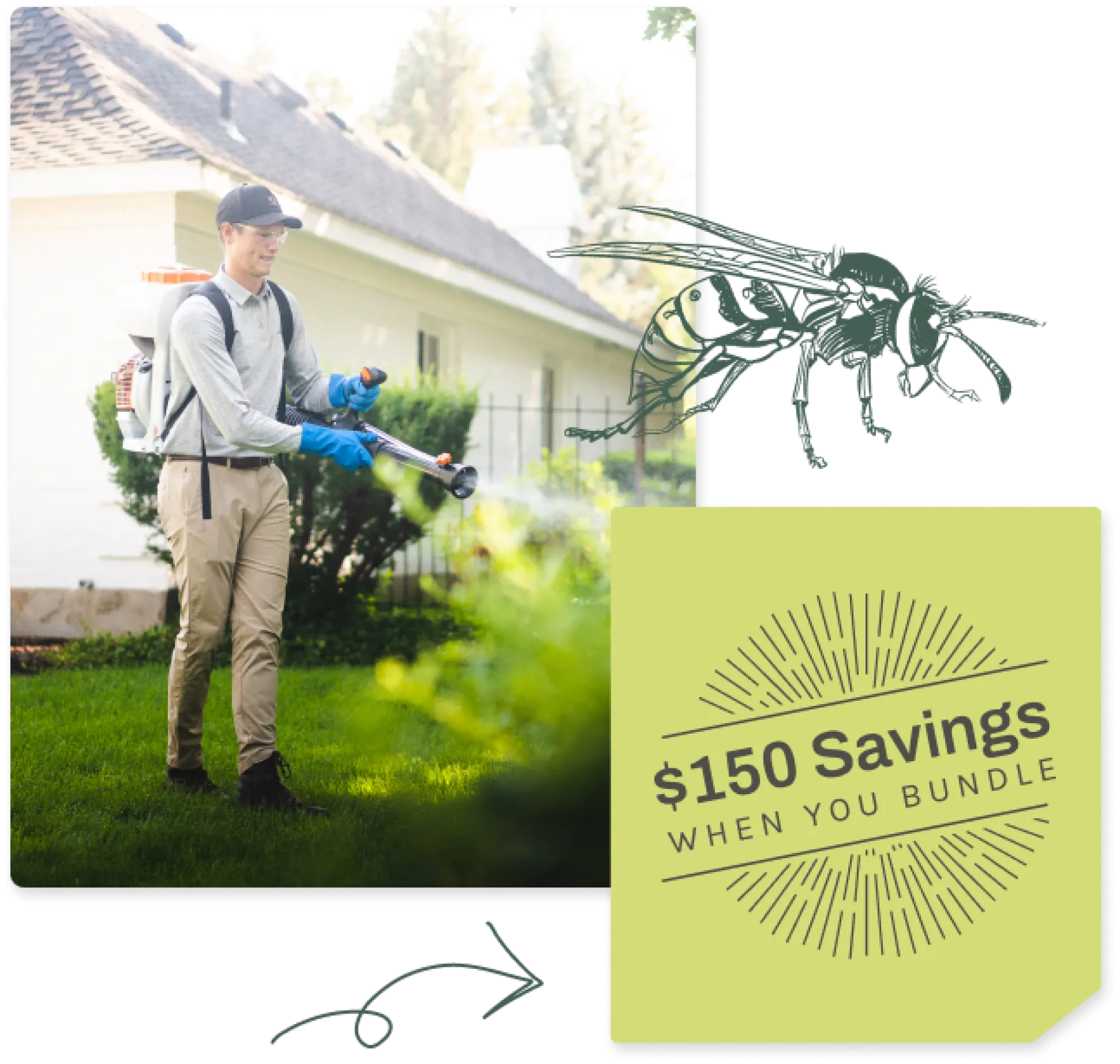 Wasp Control & Removal Service Greenix Pest Control