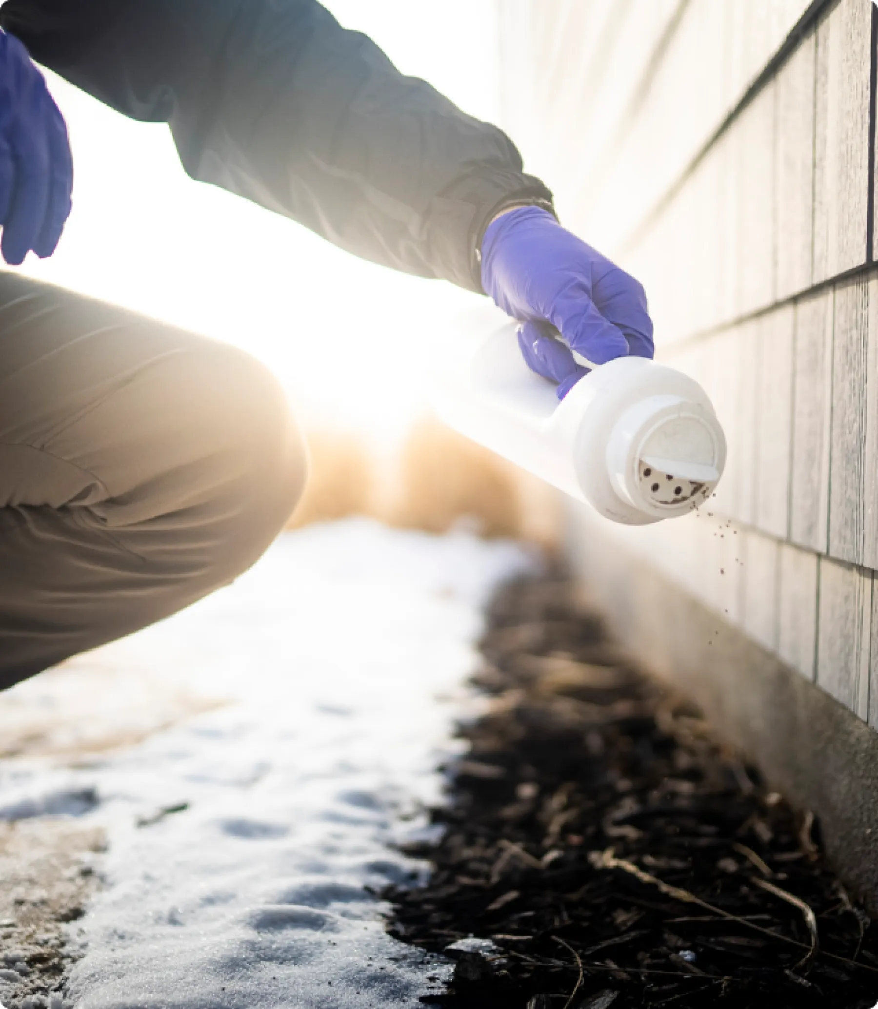 Pest Control Crown Point Greenix Pest Control