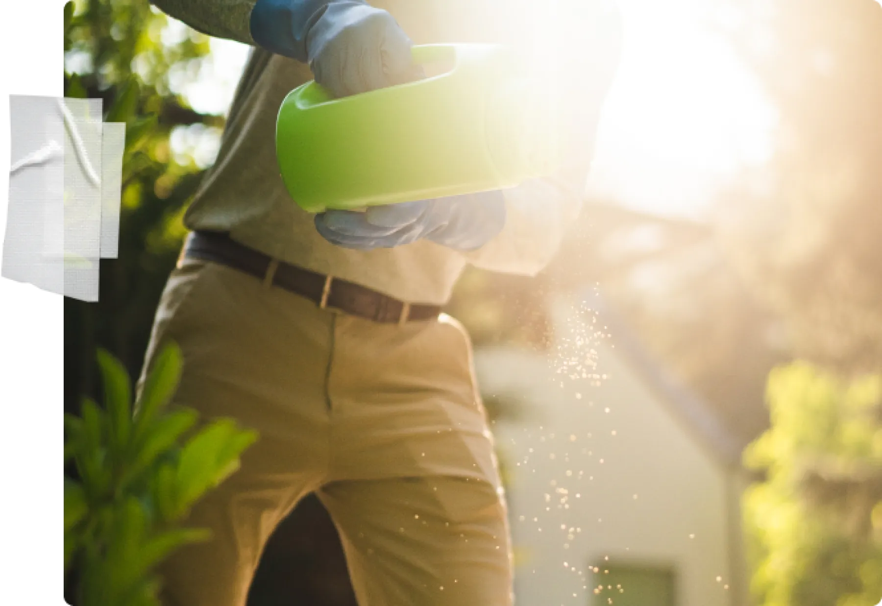 Exterminator Services & Pest Control Detroit, MI Greenix Pest Control